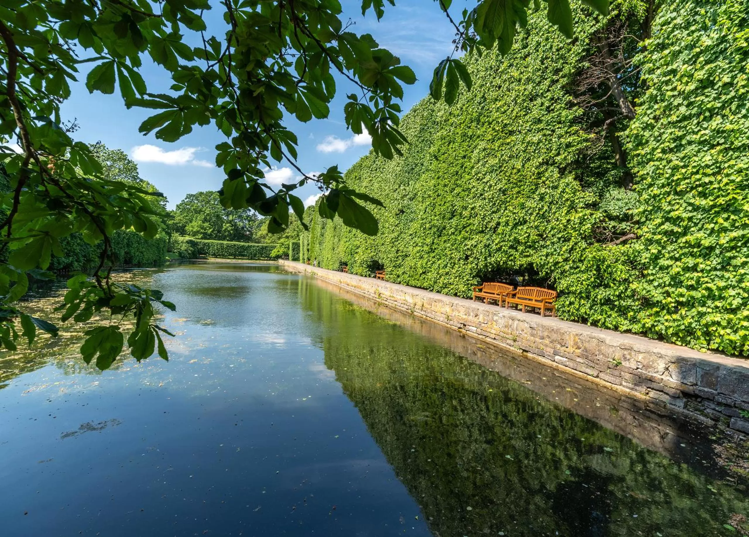 Natural landscape in Villa Palladium