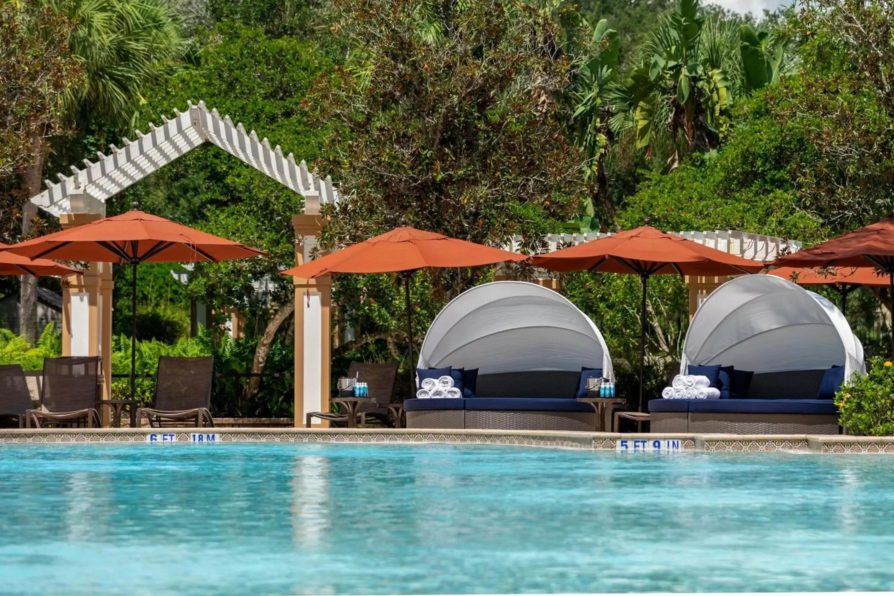Fitness centre/facilities, Swimming Pool in Renaissance Orlando at SeaWorld®