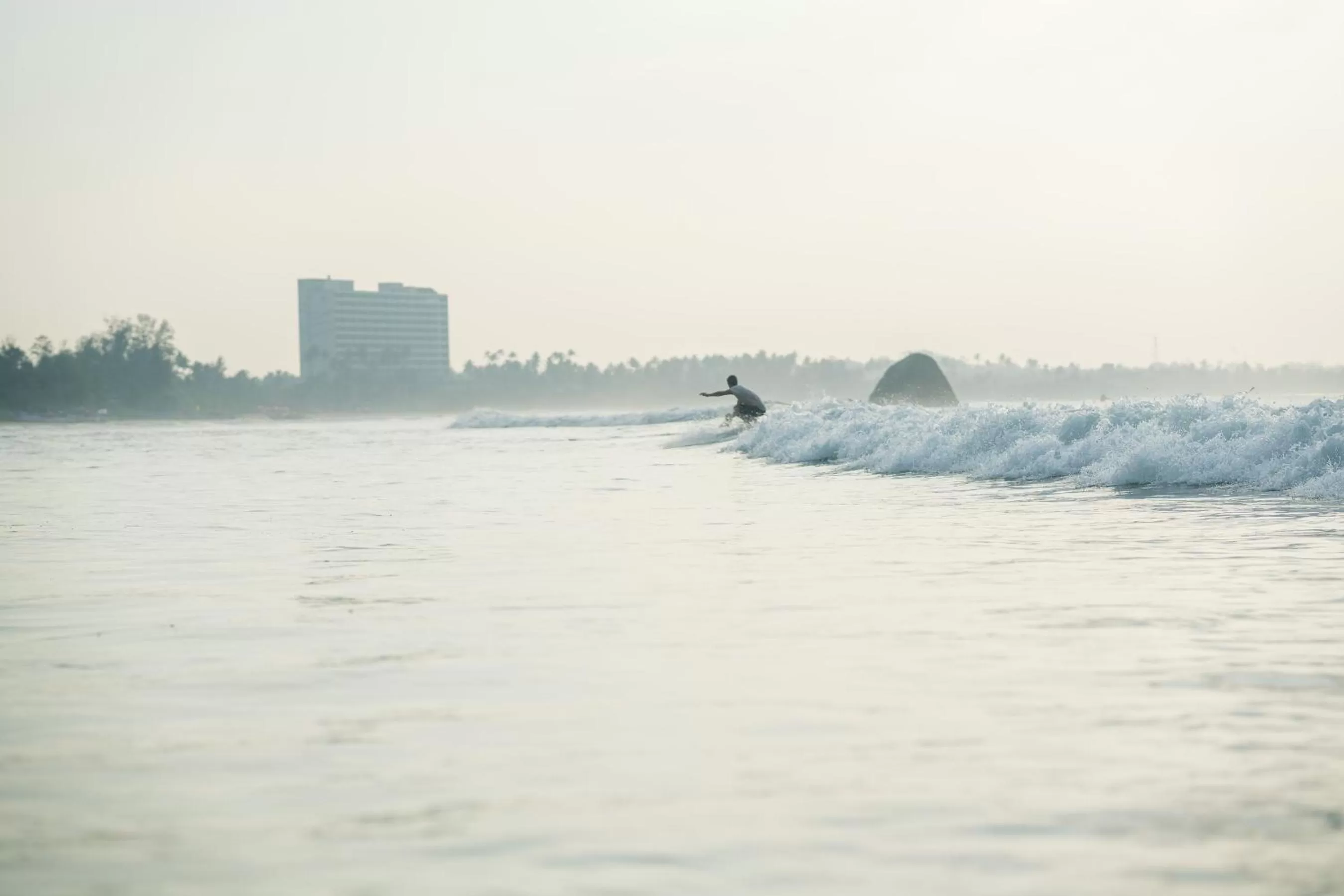 Off site, Other Animals in Ocean Bay Surf Resort Weligama