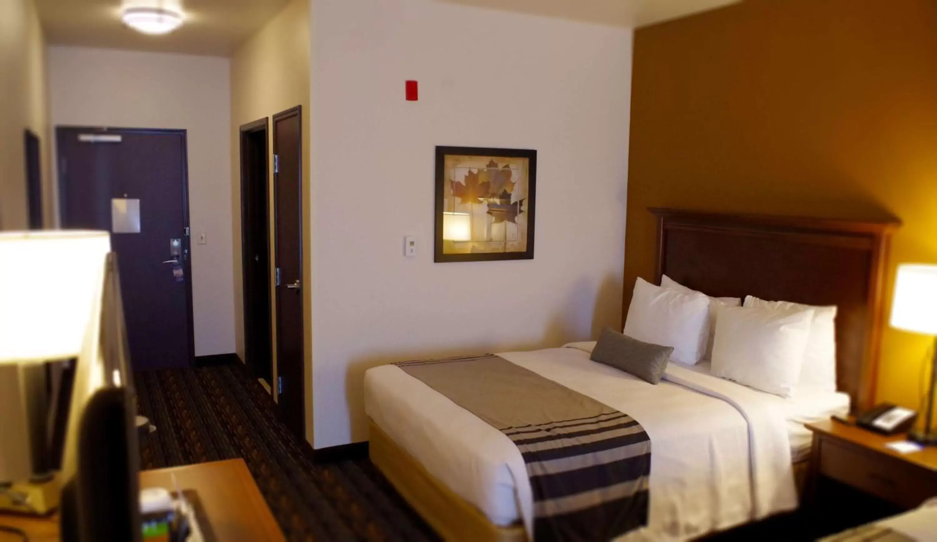 Photo of the whole room, Bed in Best Western Plus Lincoln Inn & Suites