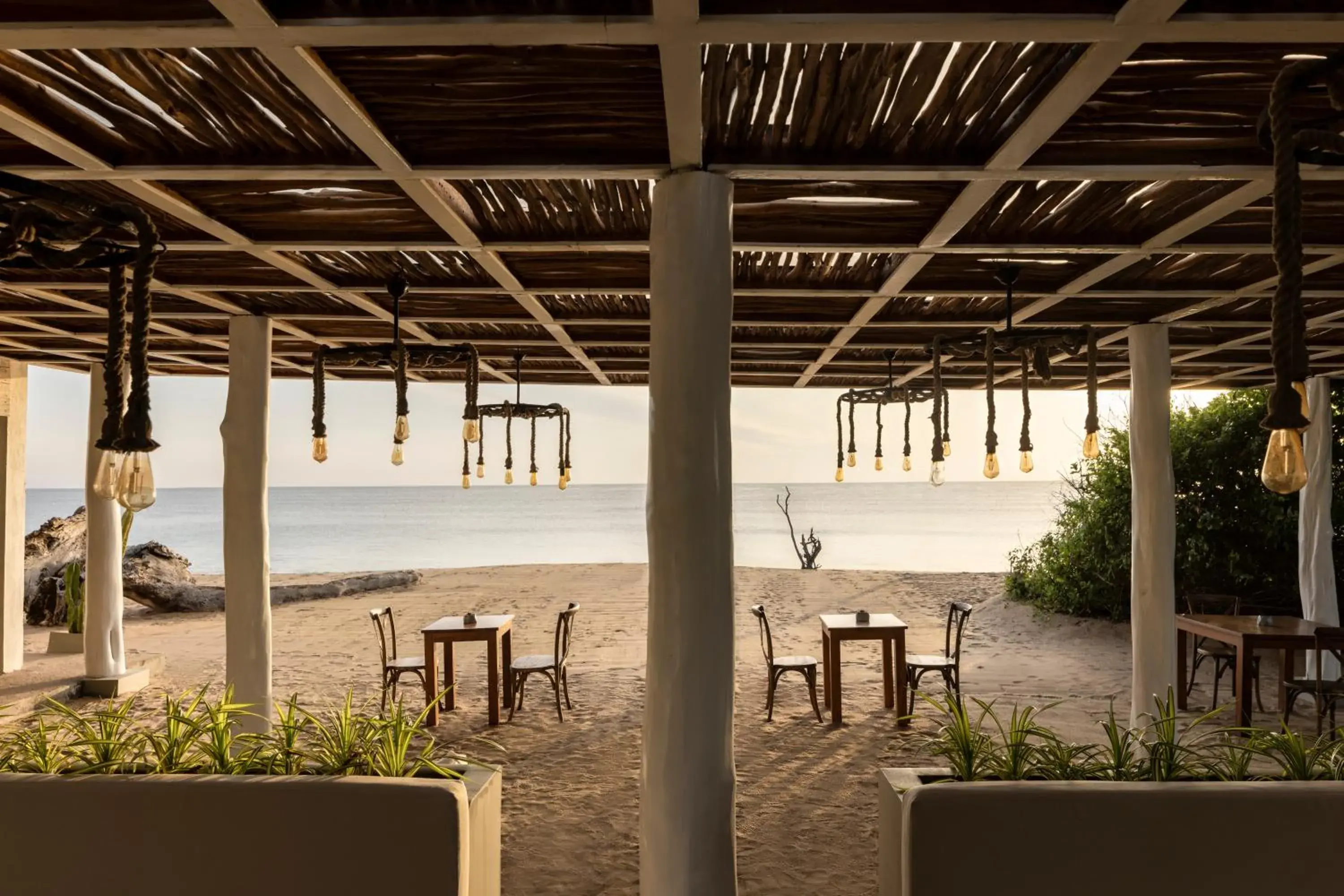 Lounge or bar in Uga Jungle Beach