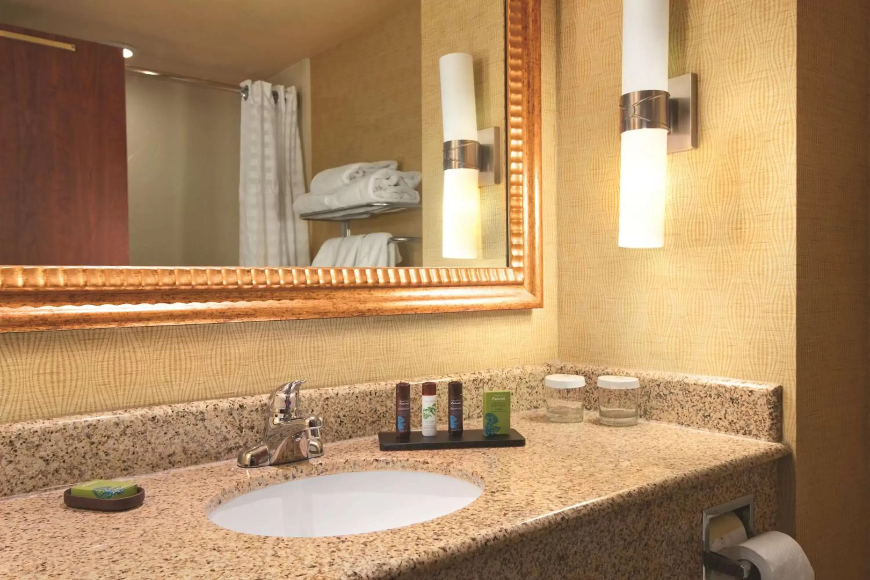 Bathroom in Embassy Suites East Peoria Hotel and Riverfront Conference Center