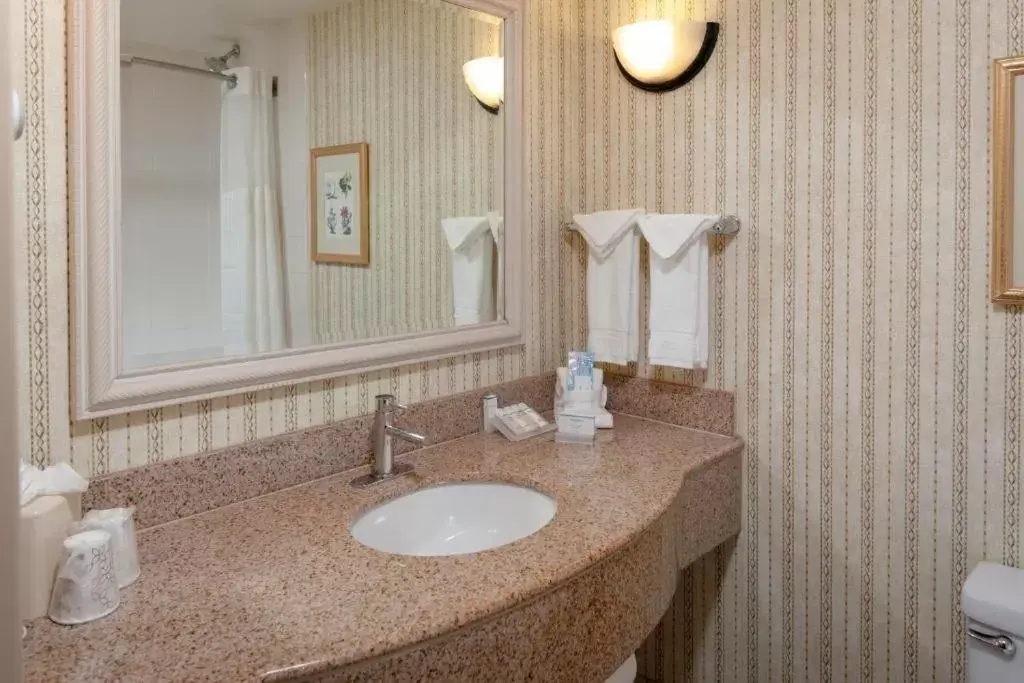 Bathroom in Hilton Garden Inn Charlotte Pineville