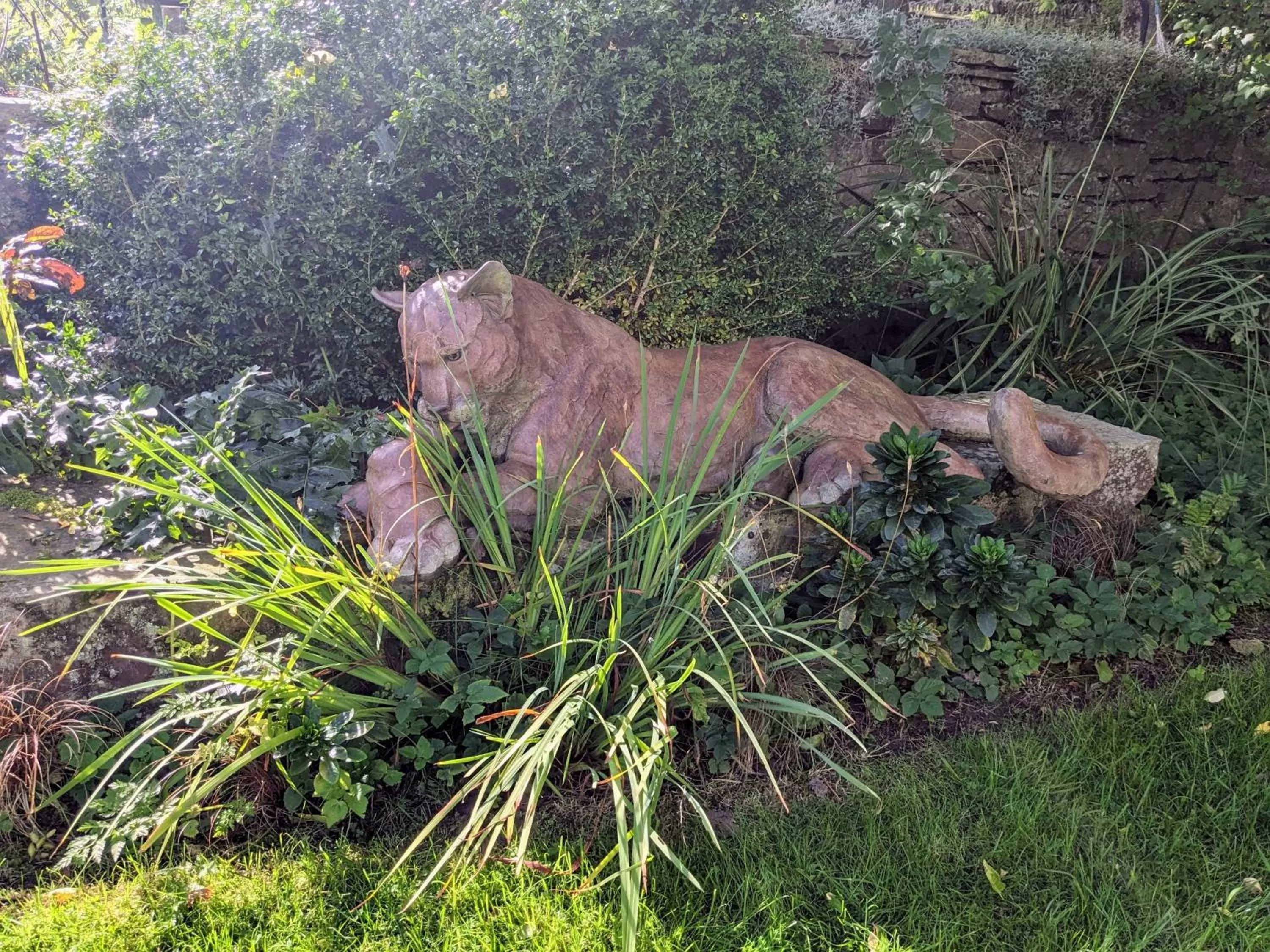 Garden view in Thornley House