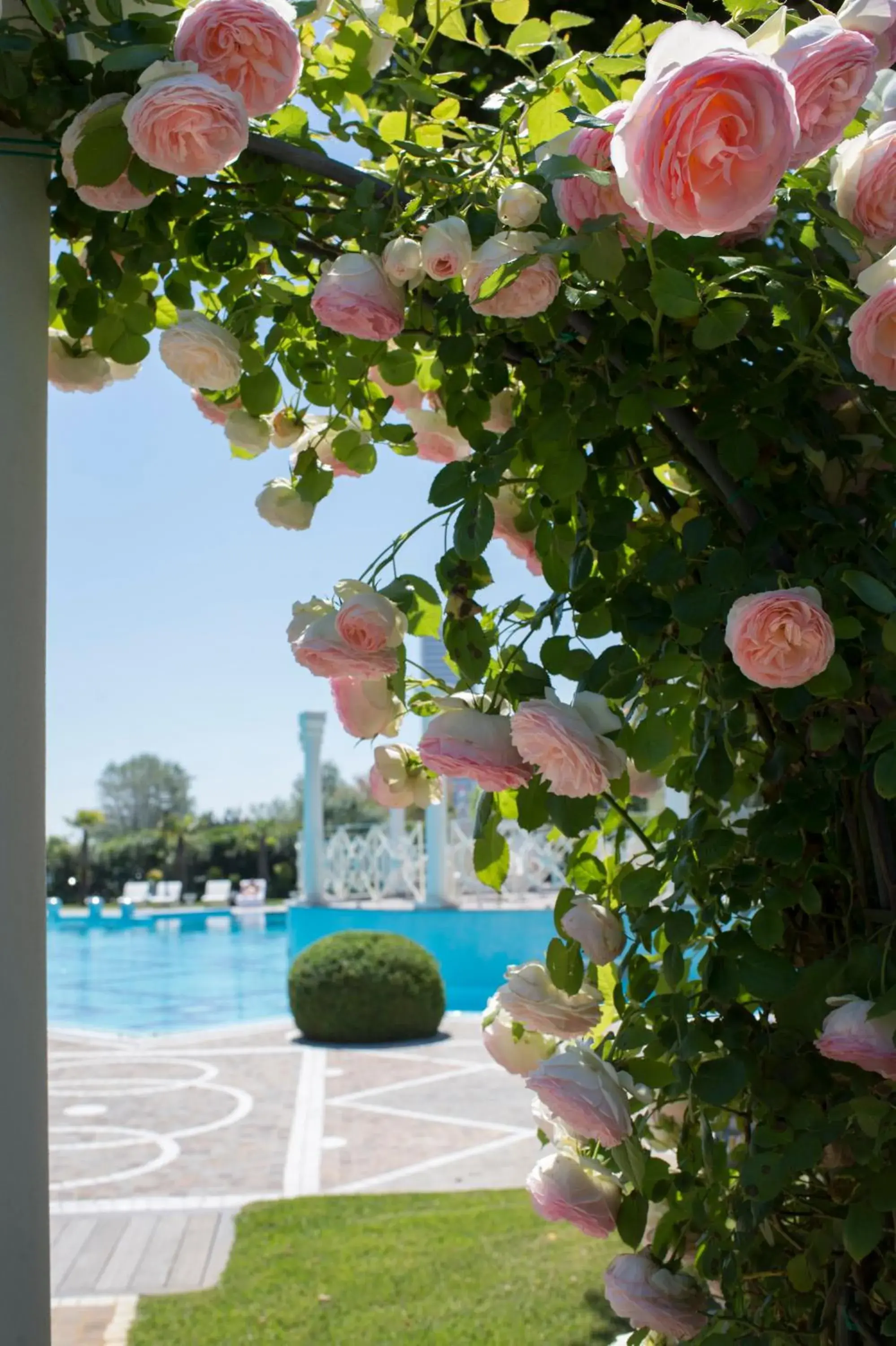 Patio, Swimming Pool in Grand Hotel Da Vinci