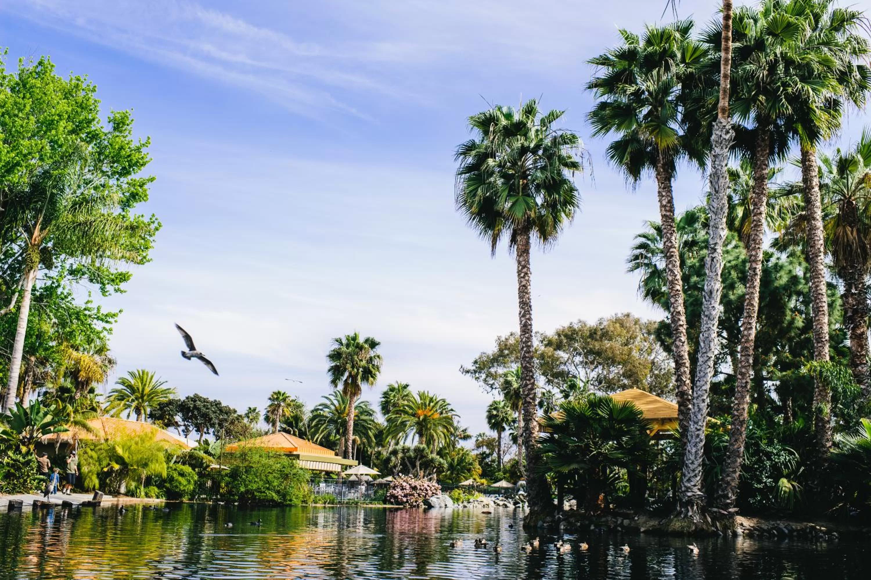 Natural landscape in Paradise Point Resort & Spa