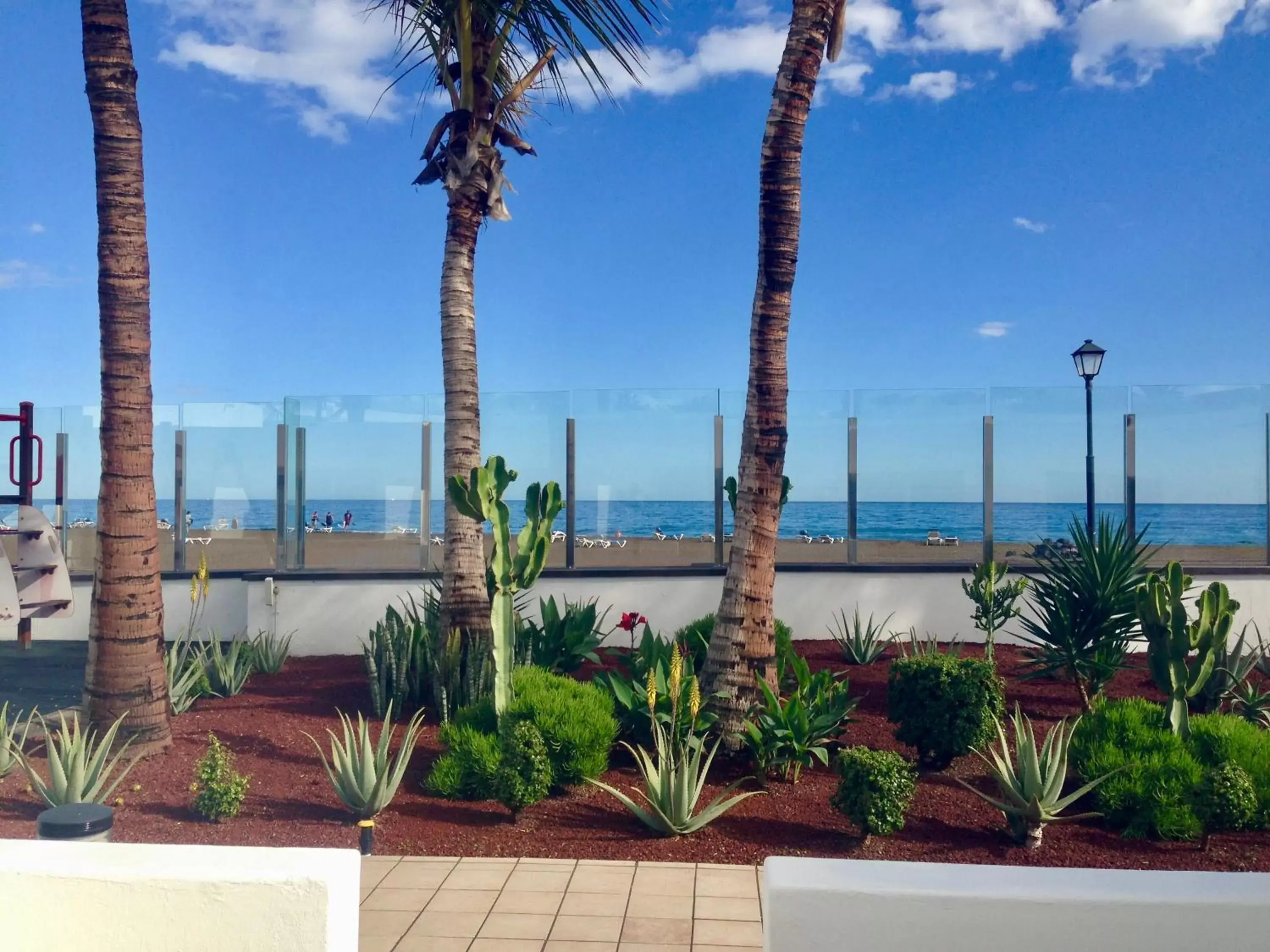 Garden in Hotel Las Costas