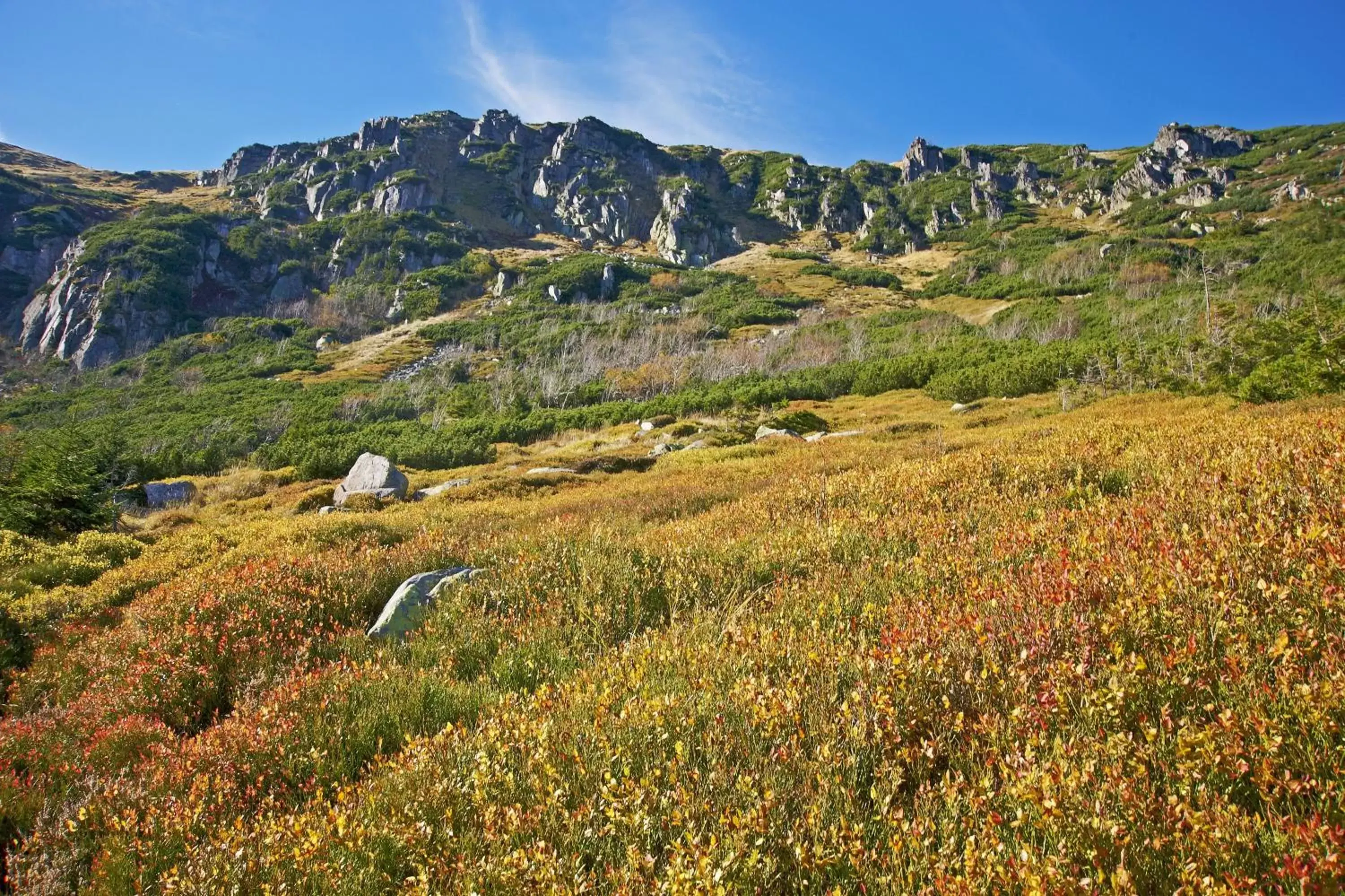 Area and facilities, Natural Landscape in Mercure Karpacz Skalny