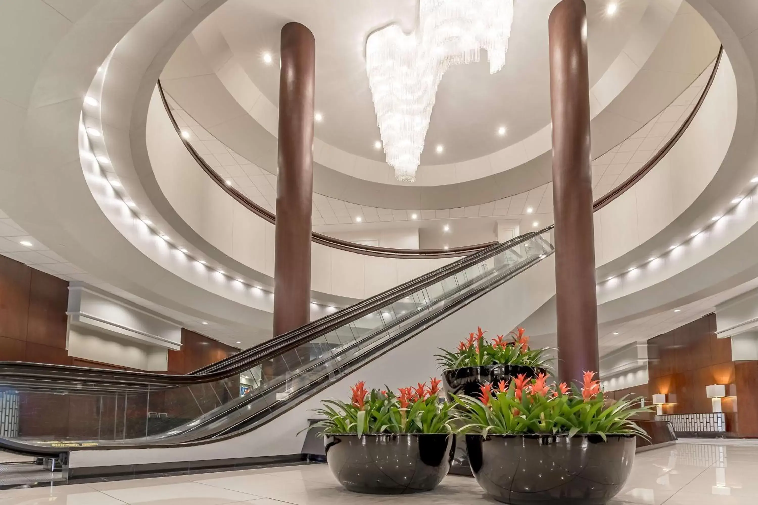 Lobby or reception in Hyatt Regency Tulsa Downtown