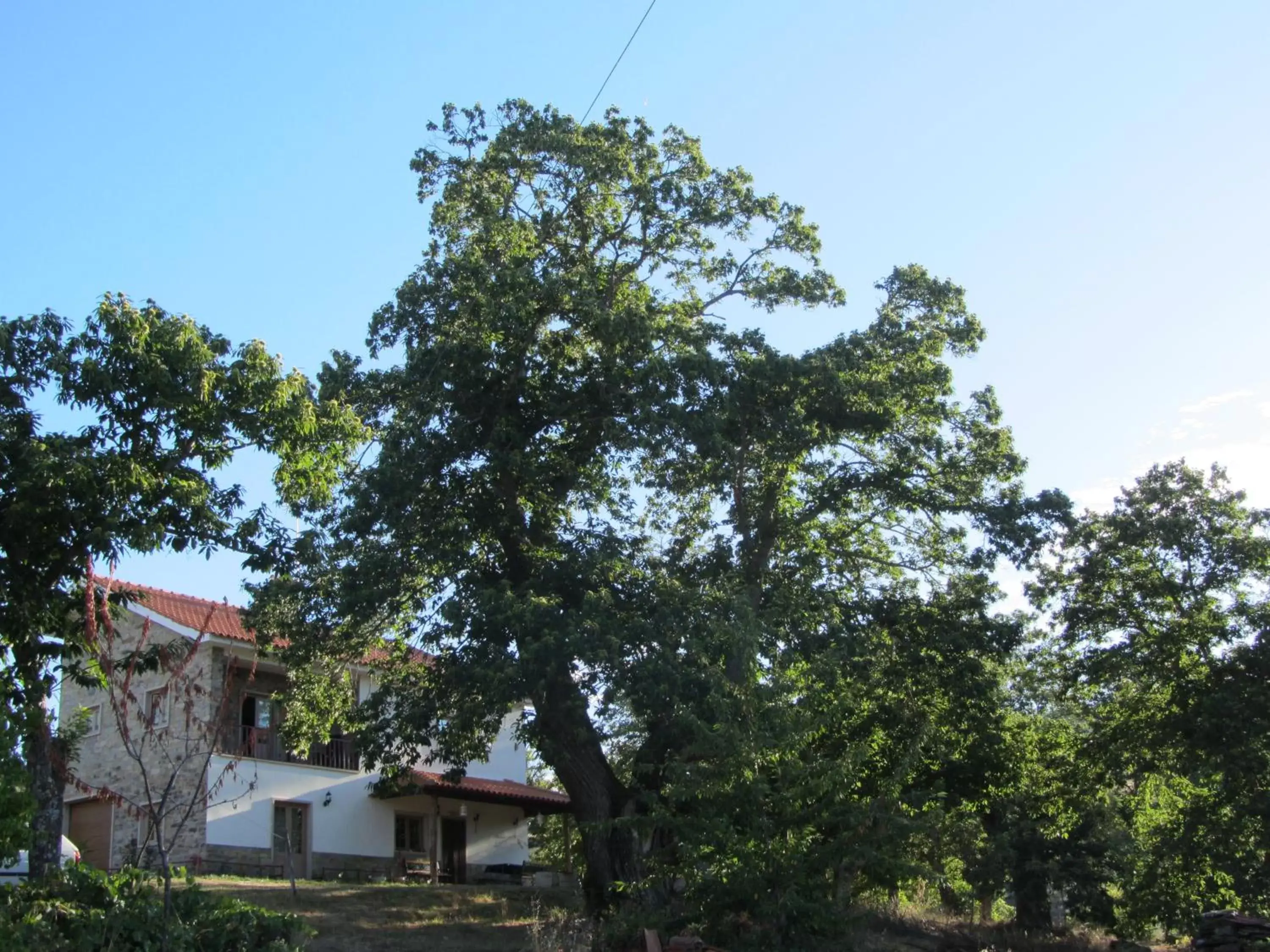 Property Building in O Bilhó