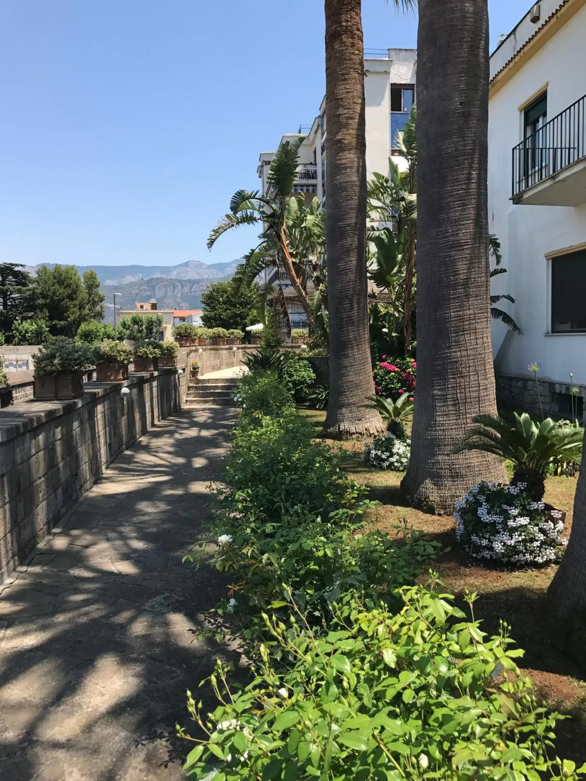 Garden in Bella Sorrento B&B