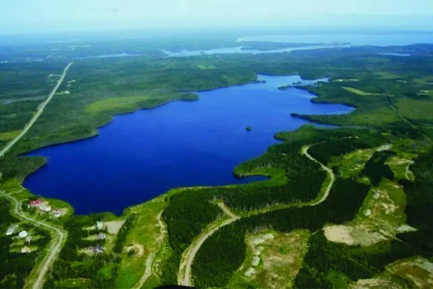 Natural landscape, Bird's-eye View in The Cozy Fox BNB-Woodland Room