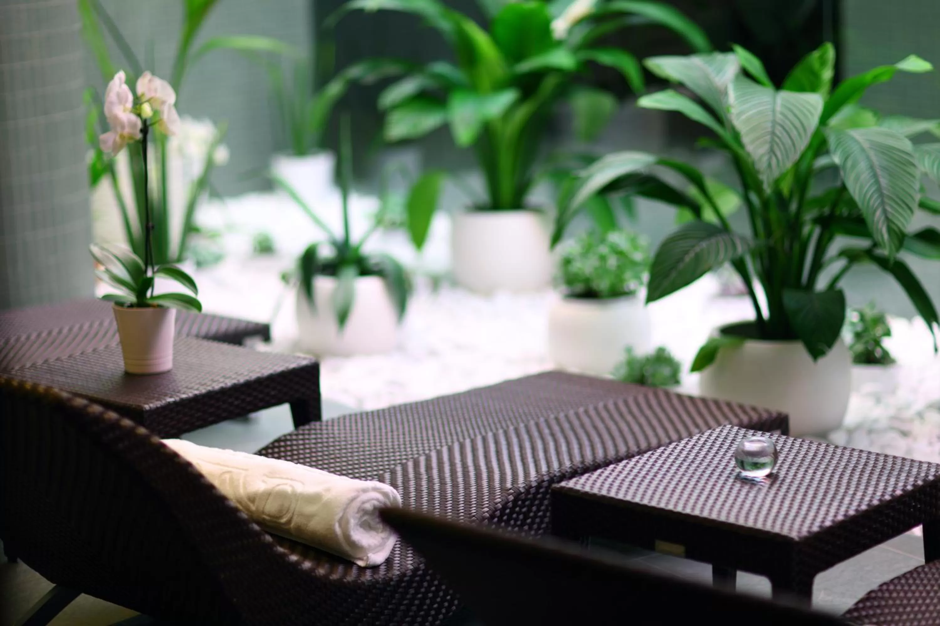 Spa and wellness centre/facilities in Hotel Aristos