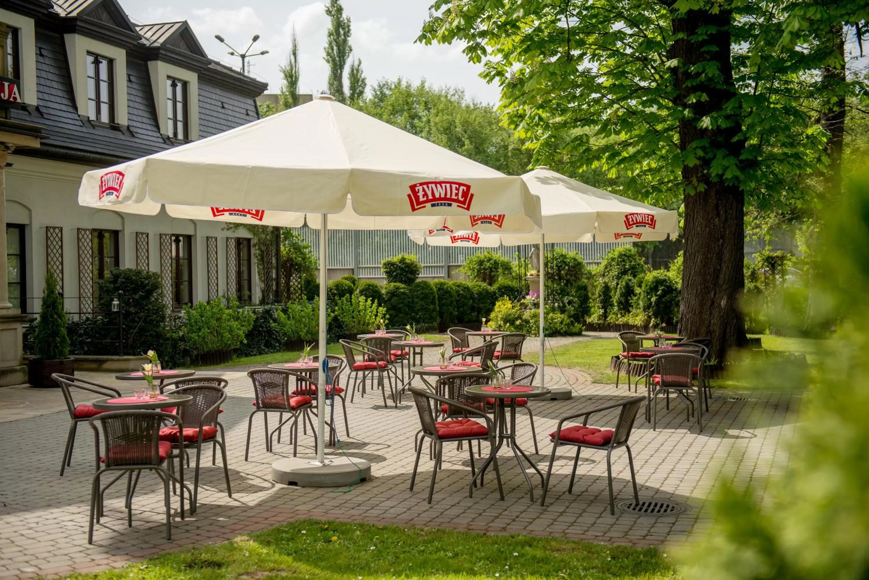 Restaurant/places to eat in Hotel Dwór Kościuszko