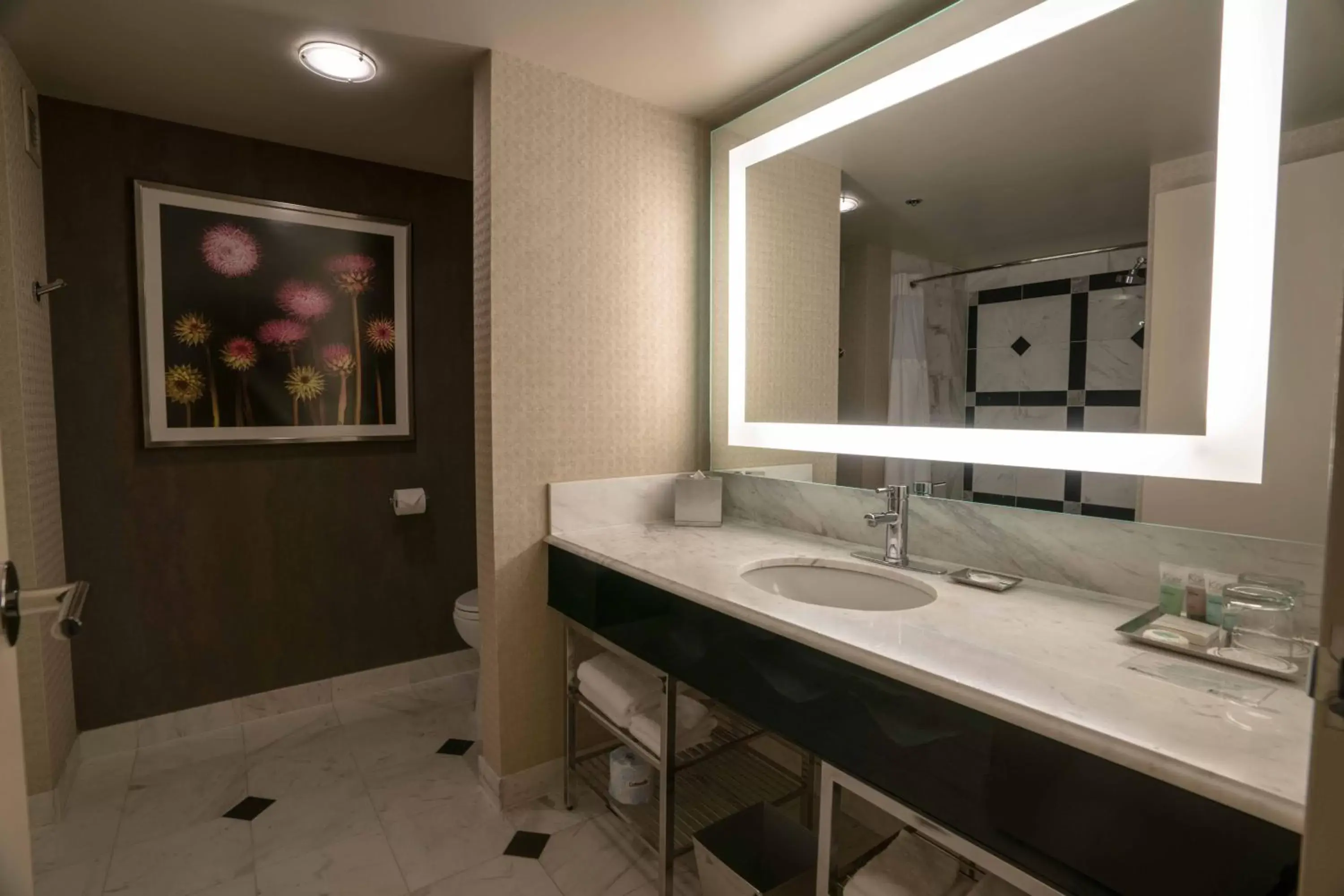 Bathroom in MGM Grand