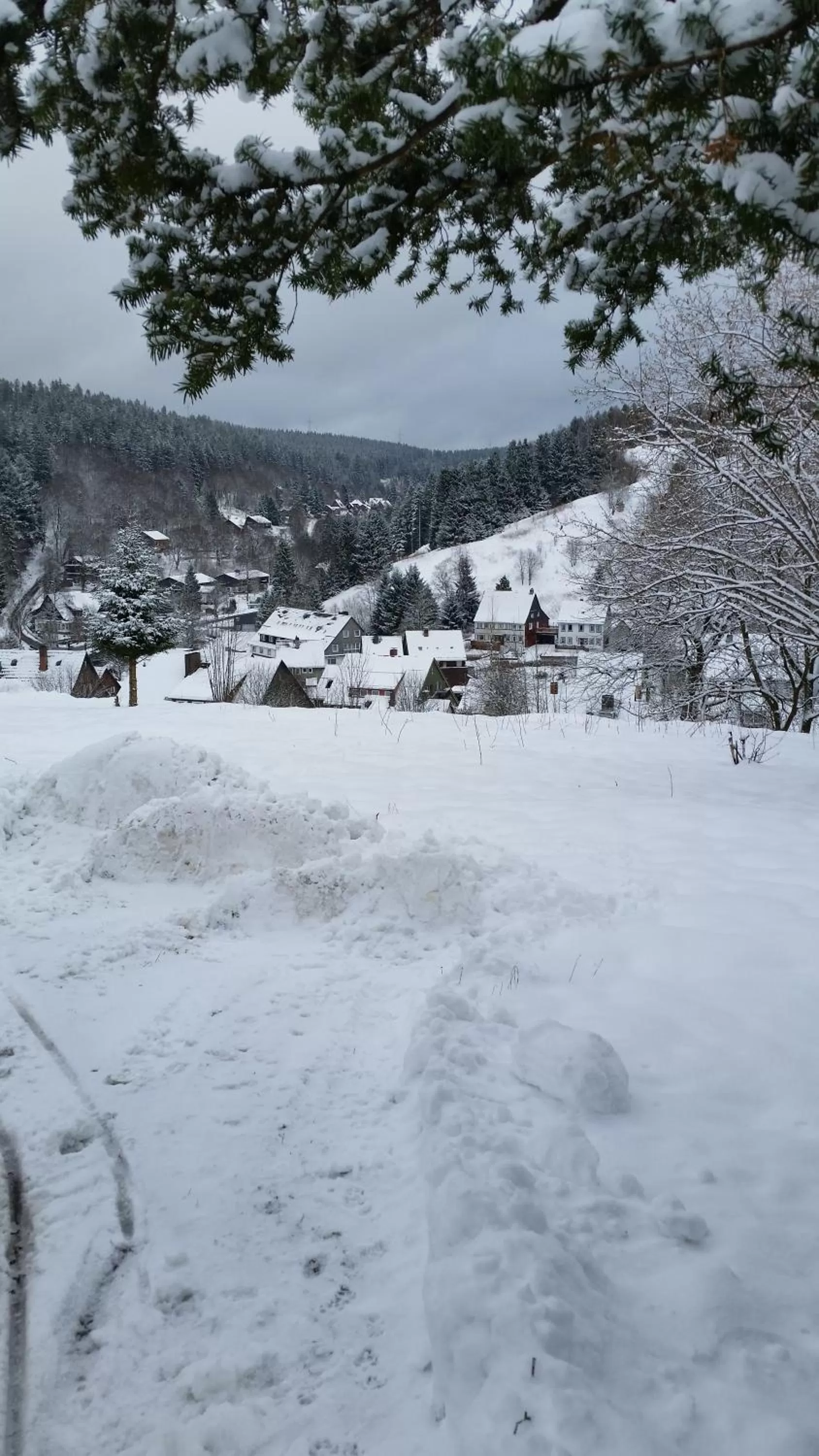 Natural landscape, Winter in Pension Haus Petra