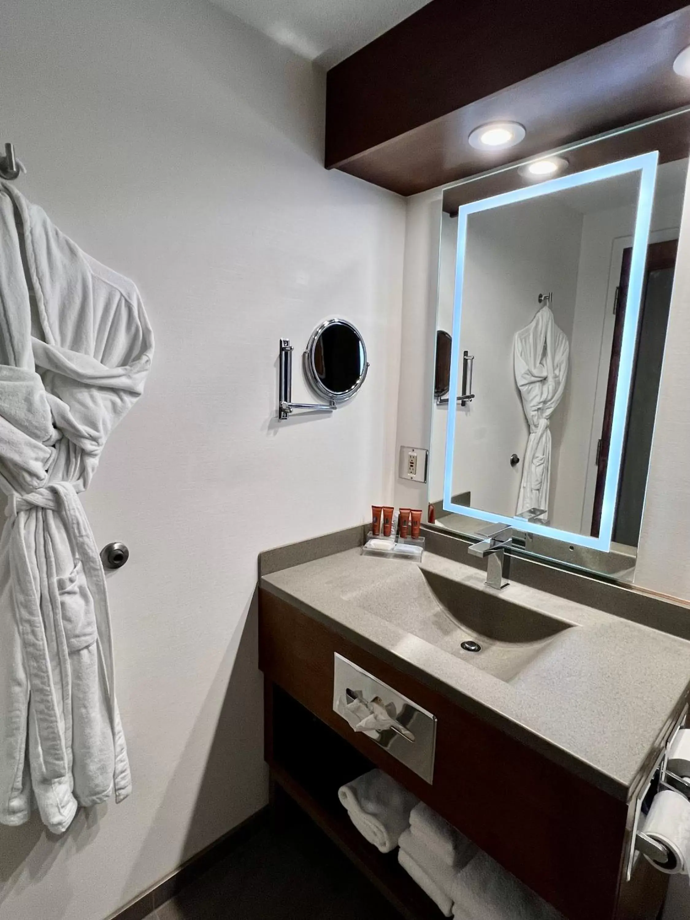 Bathroom in Atlantic Host Hotel, Trademark Collection by Wyndham