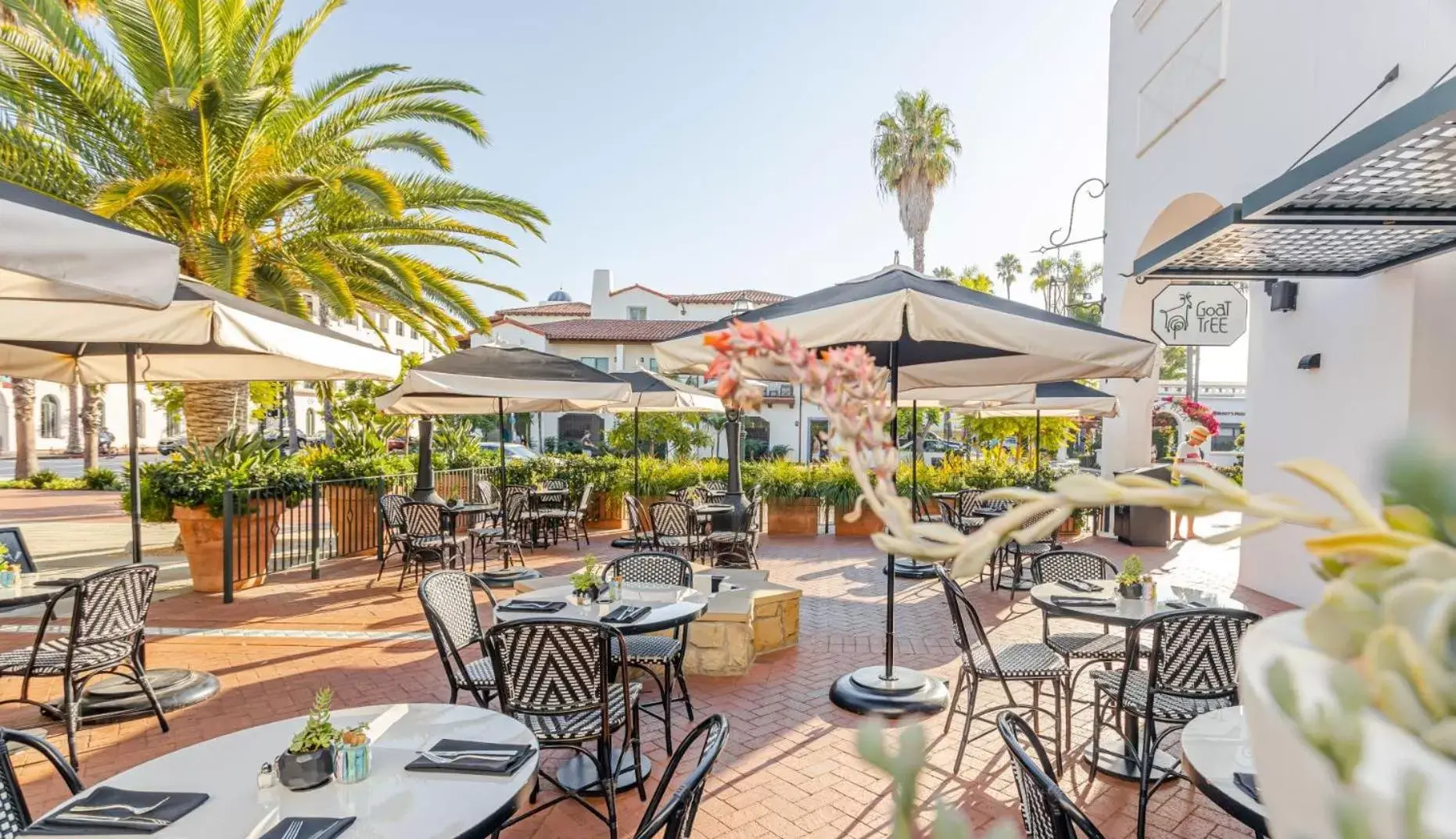 Patio, Restaurant/Places to Eat in Hotel Californian