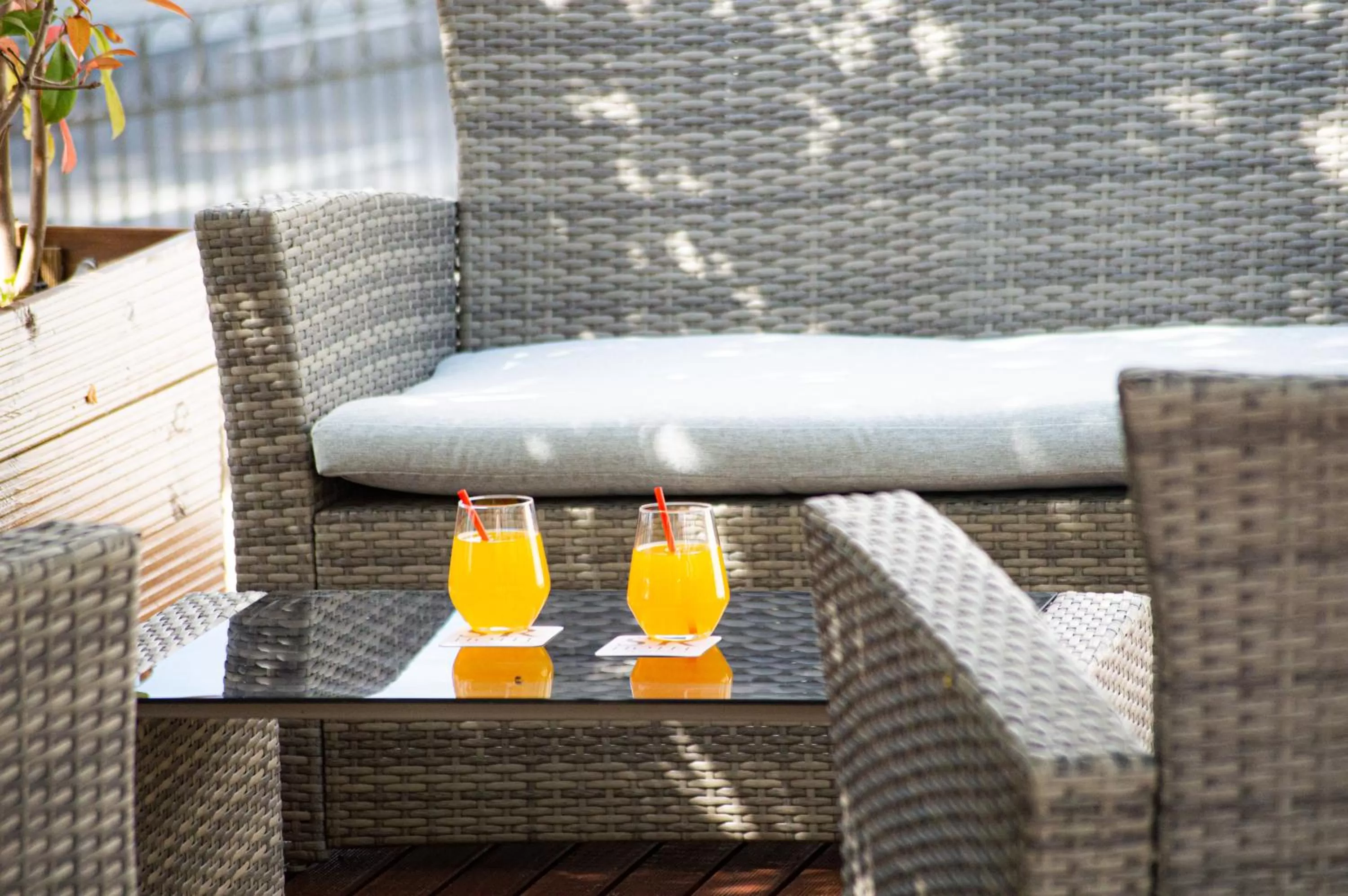 Garden in Hotel Solar do Rebolo