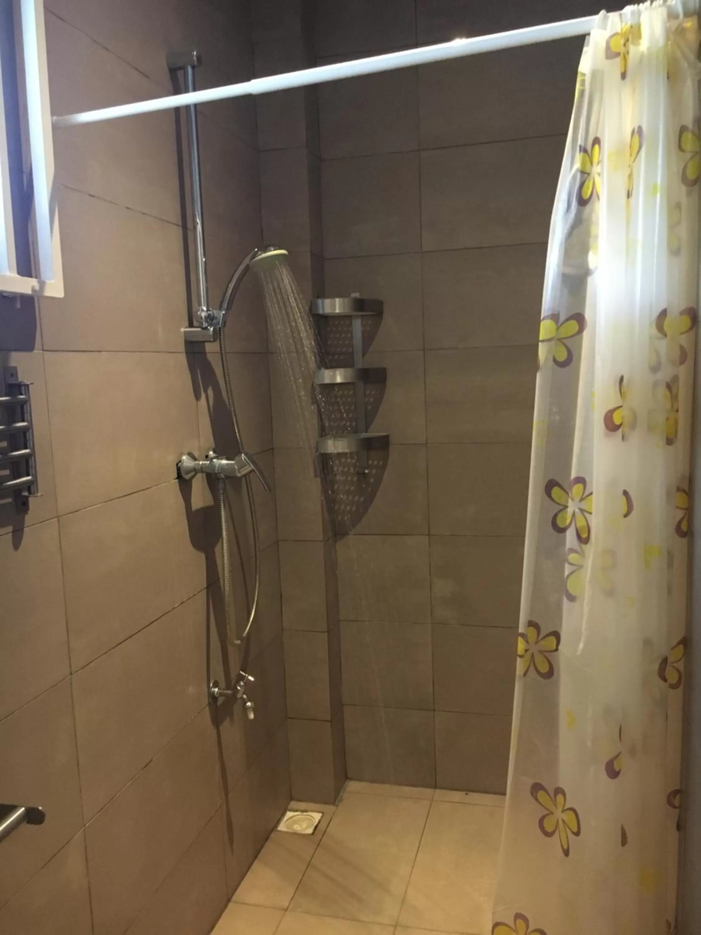 Shower, Bathroom in Asteria Studios