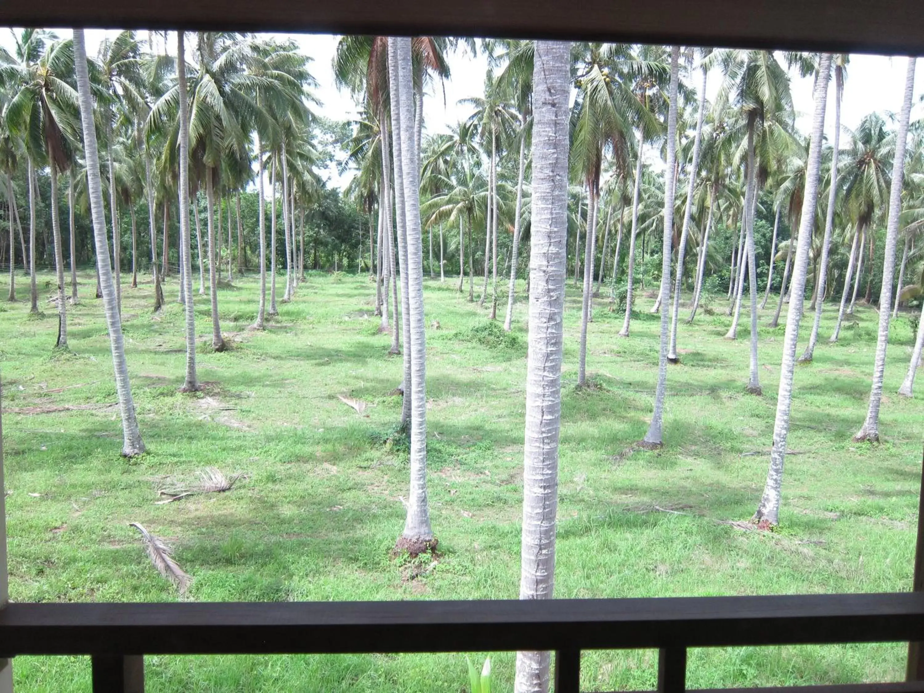 Natural landscape in Koh Kood Paradise Beach