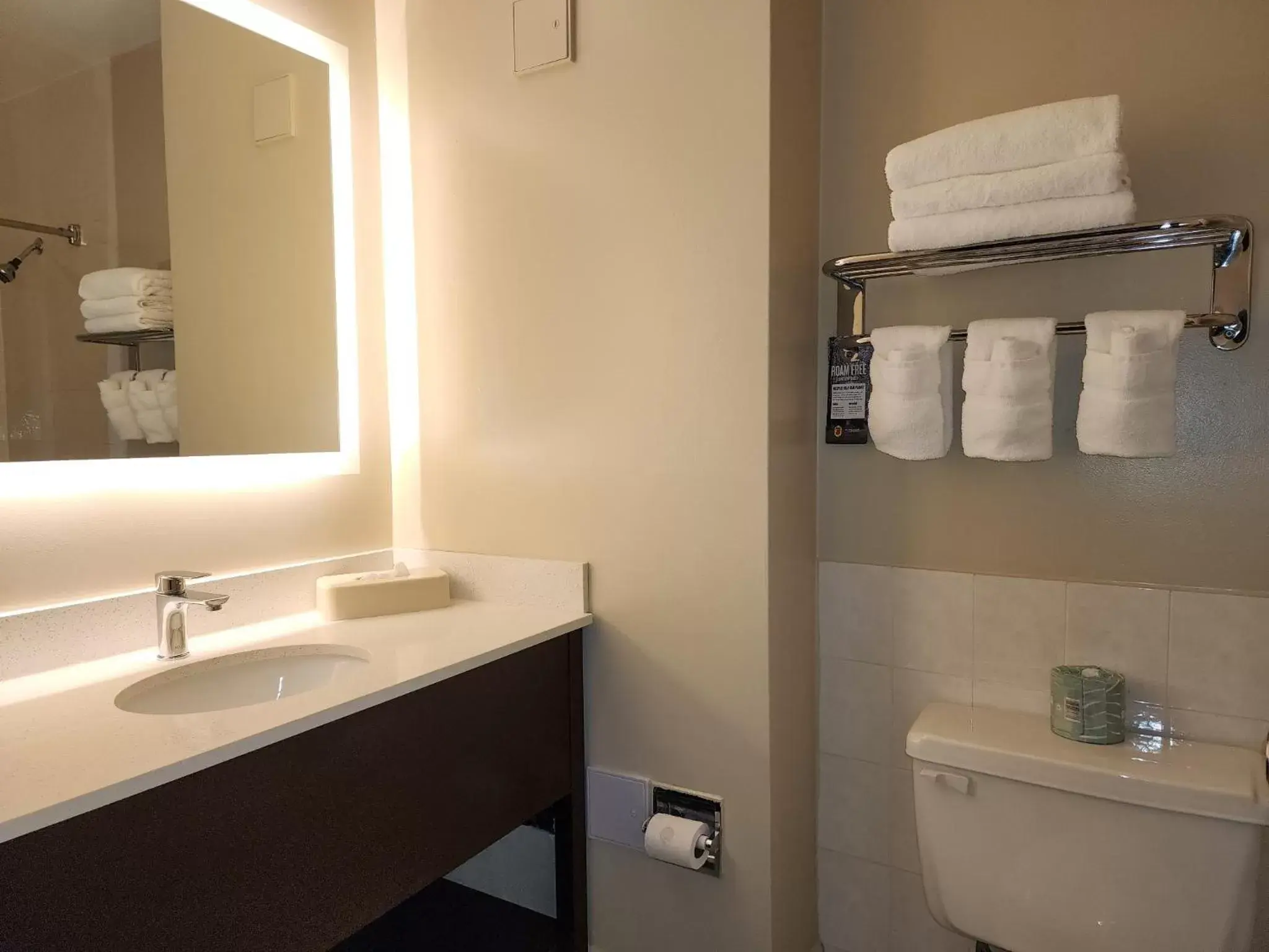 Bathroom in Super 8 by Wyndham Thunder Bay