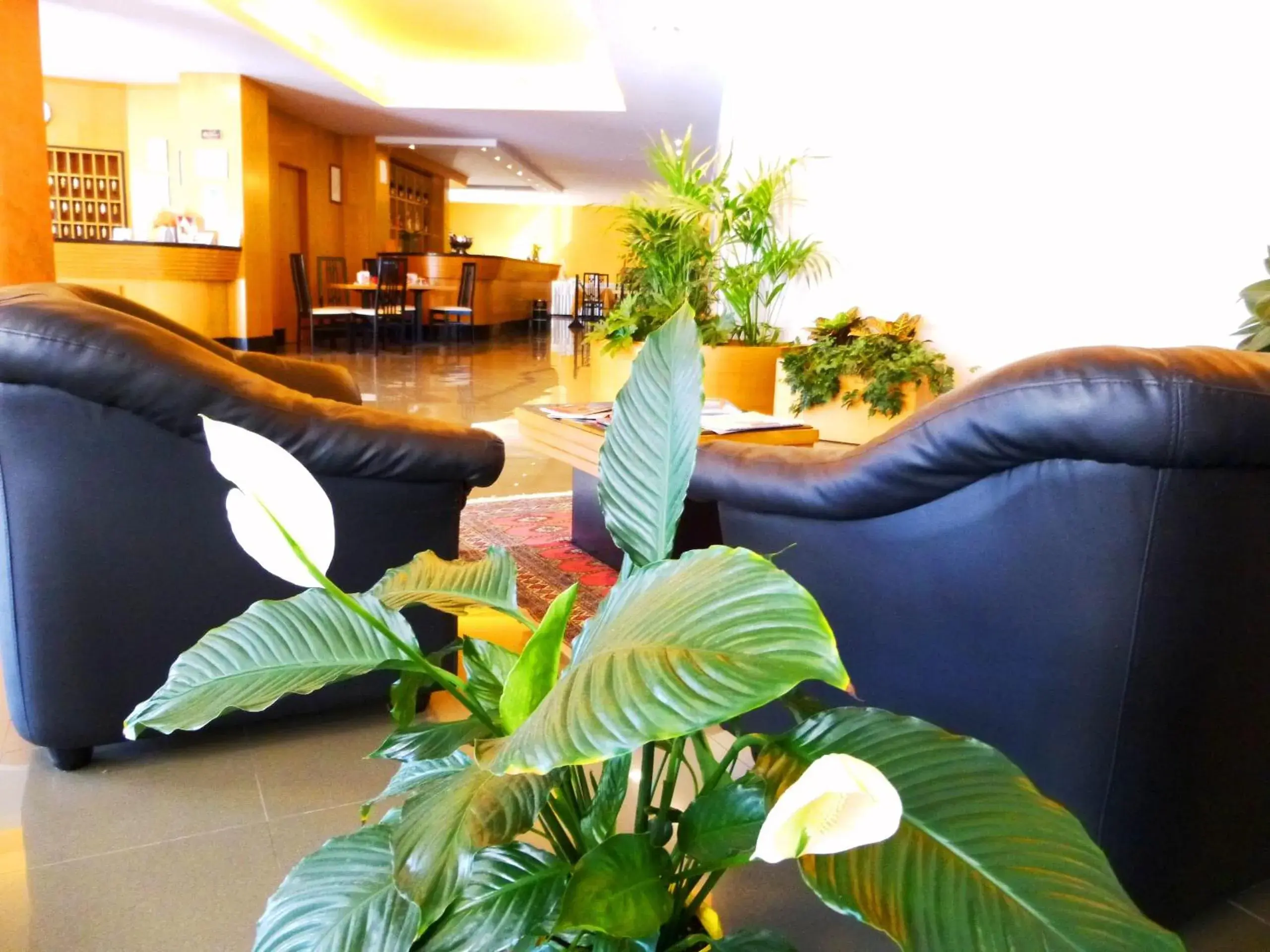 Lobby or reception in Hotel Romanisio