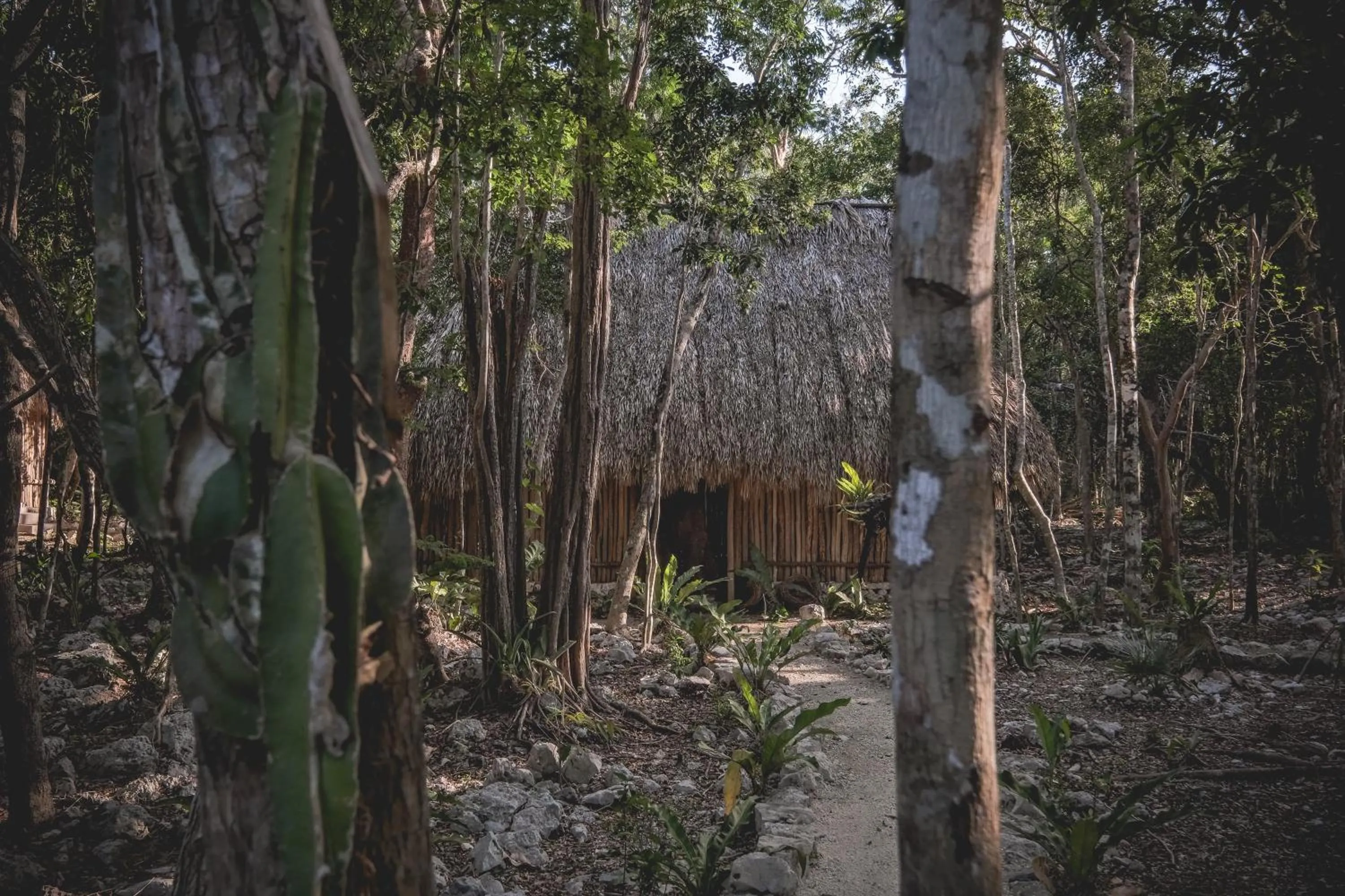 Natural landscape in Wakax Hacienda - Cenote & Boutique Hotel - Small Luxury Hotels of the World