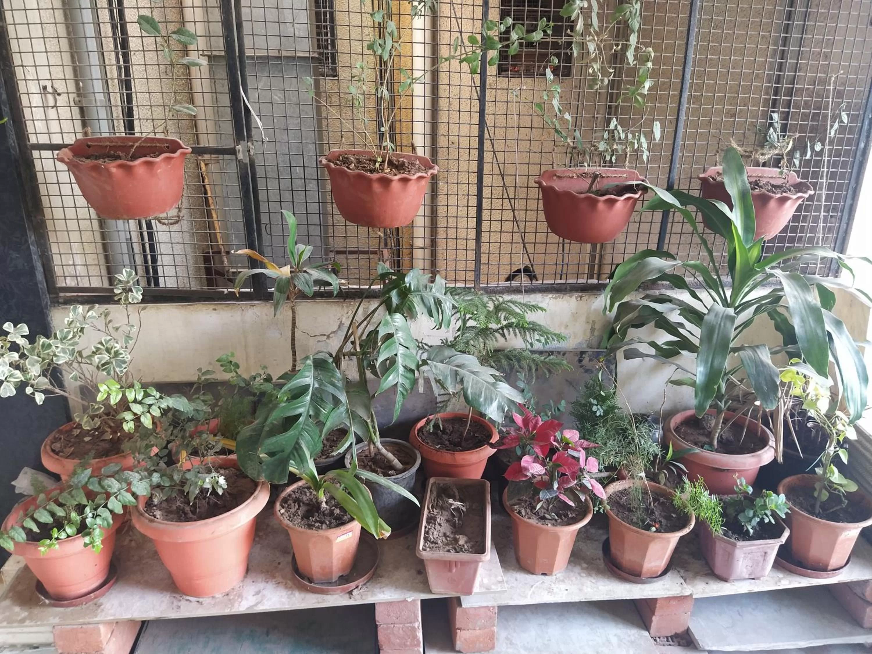 Food in Shiv Sai Dormitory