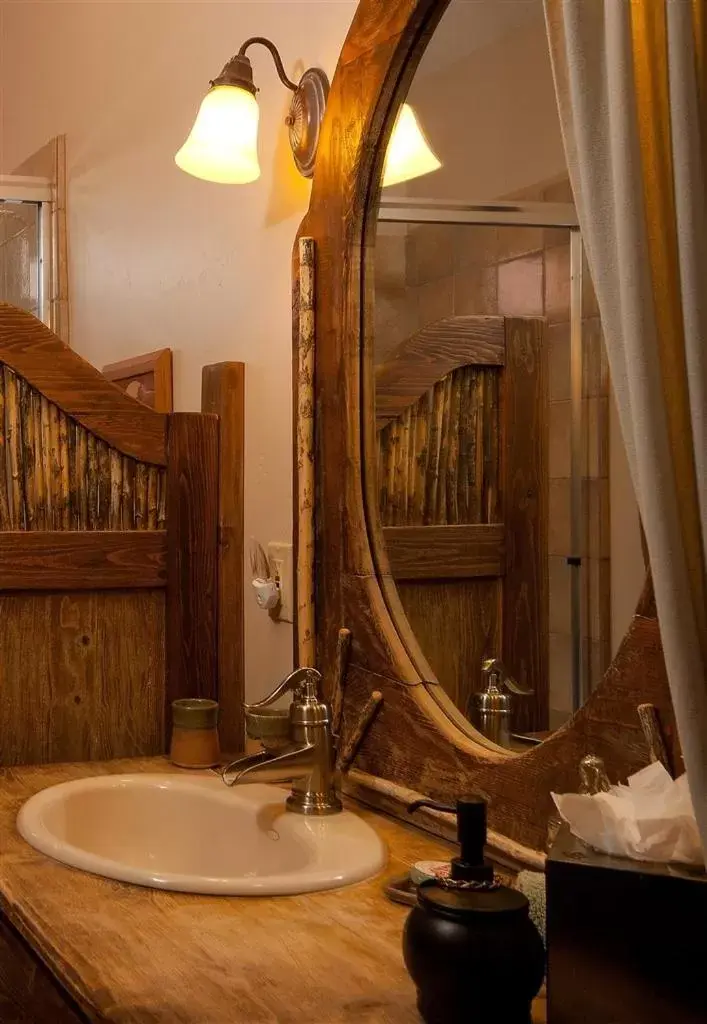 Decorative detail, Bathroom in The Inn at Thunder Mountain