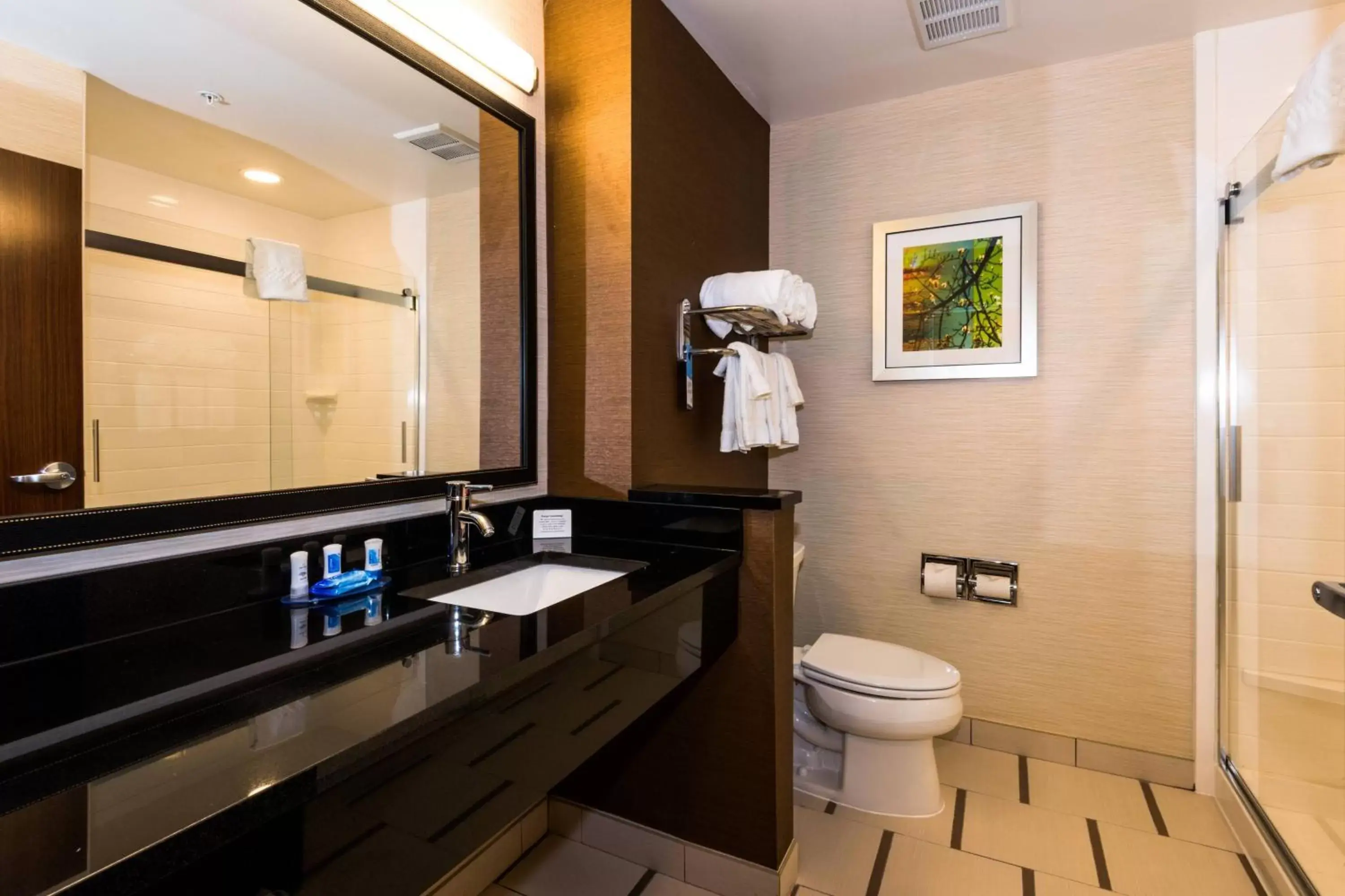 Bathroom in Fairfield Inn & Suites by Marriott Atmore