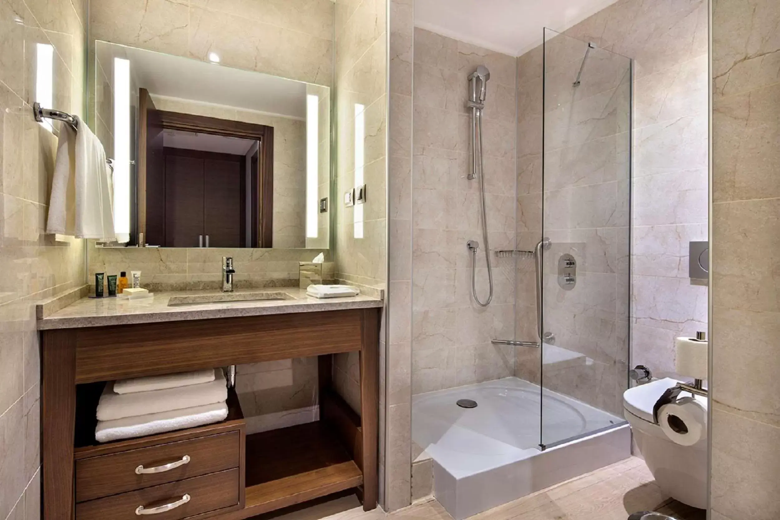 Bathroom in Hilton Garden Inn Izmir Bayrakli