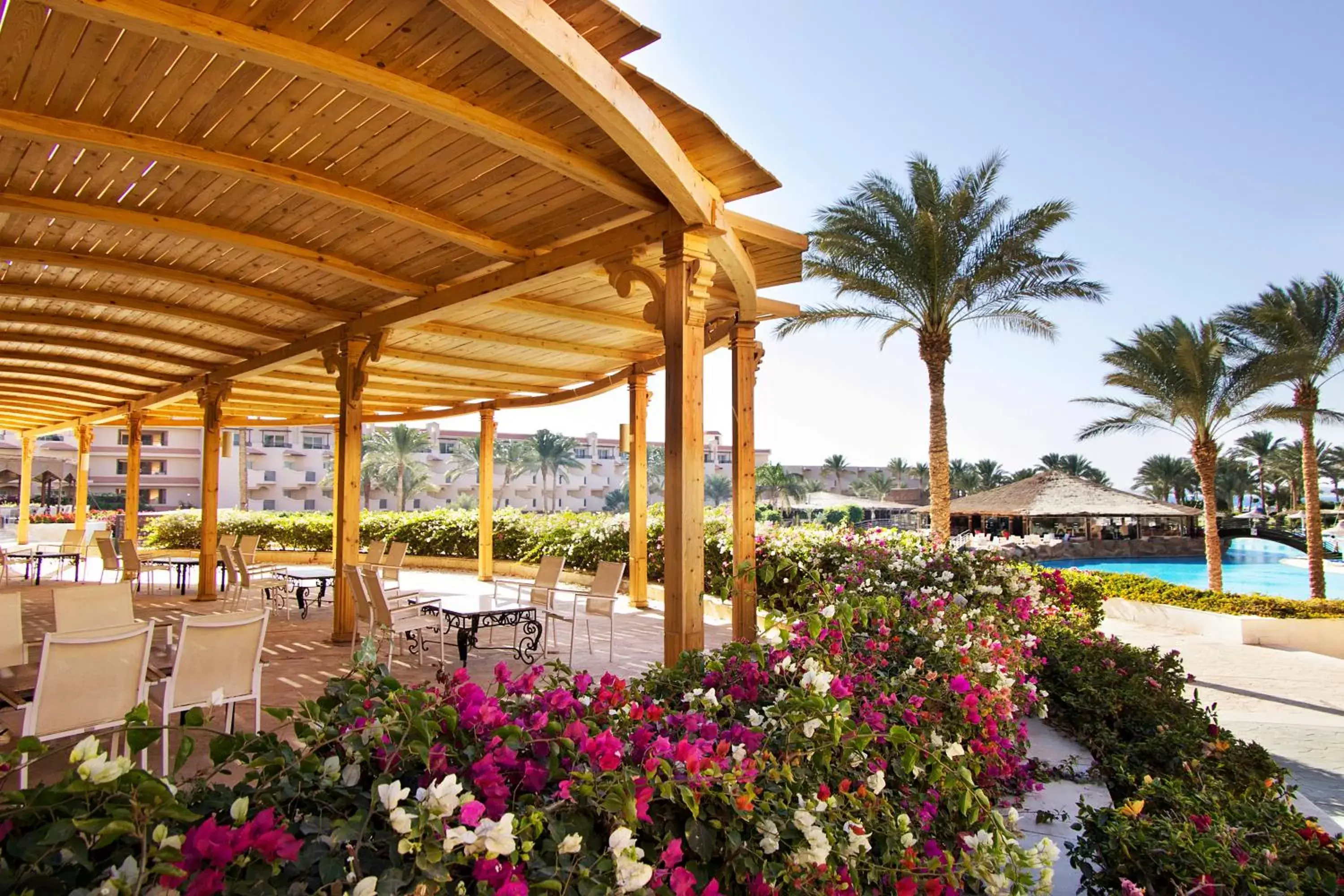 Other, Swimming Pool in Pyramisa Beach Resort Sahl Hasheesh