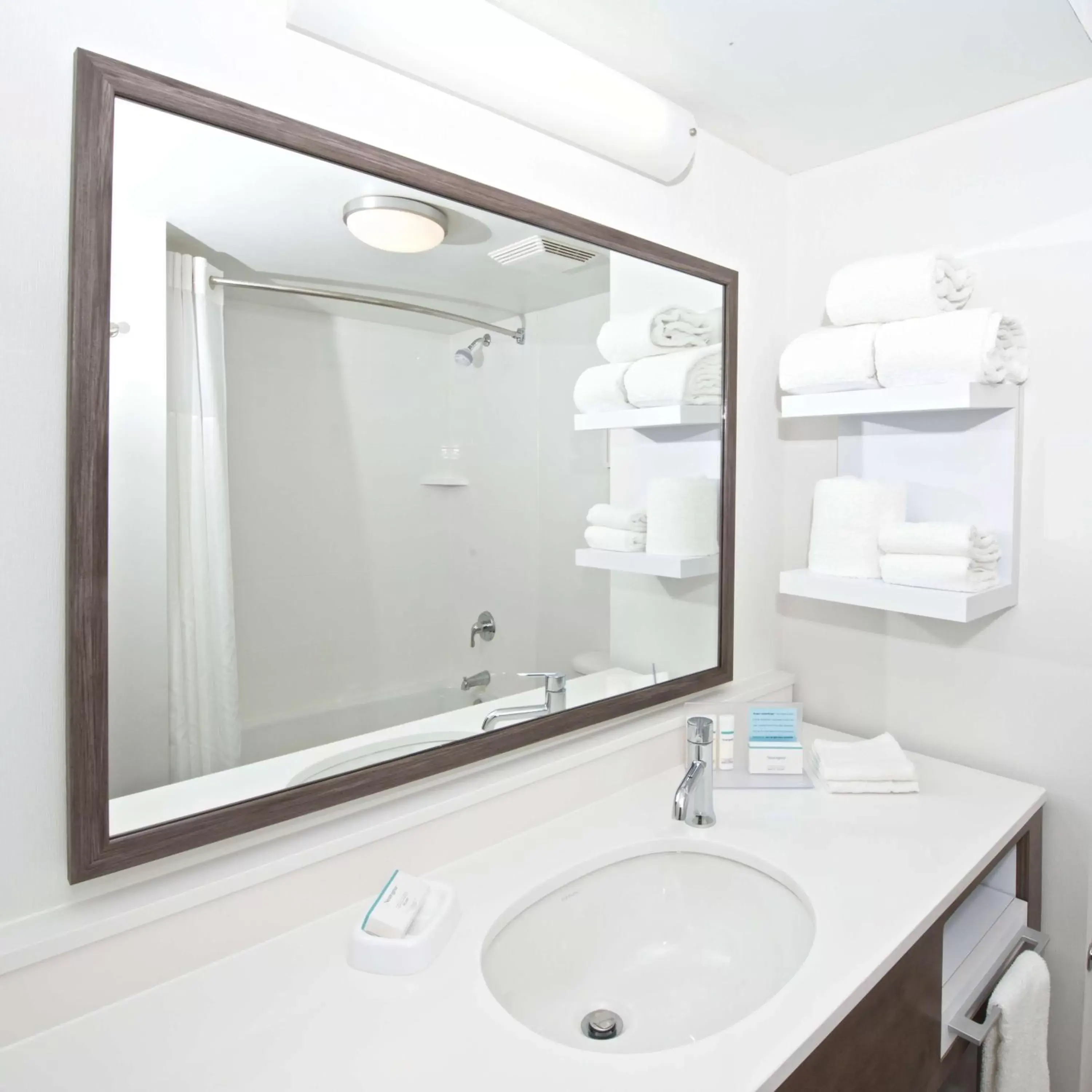 Bathroom in Hampton Inn & Suites N Ft Worth-Alliance Airport