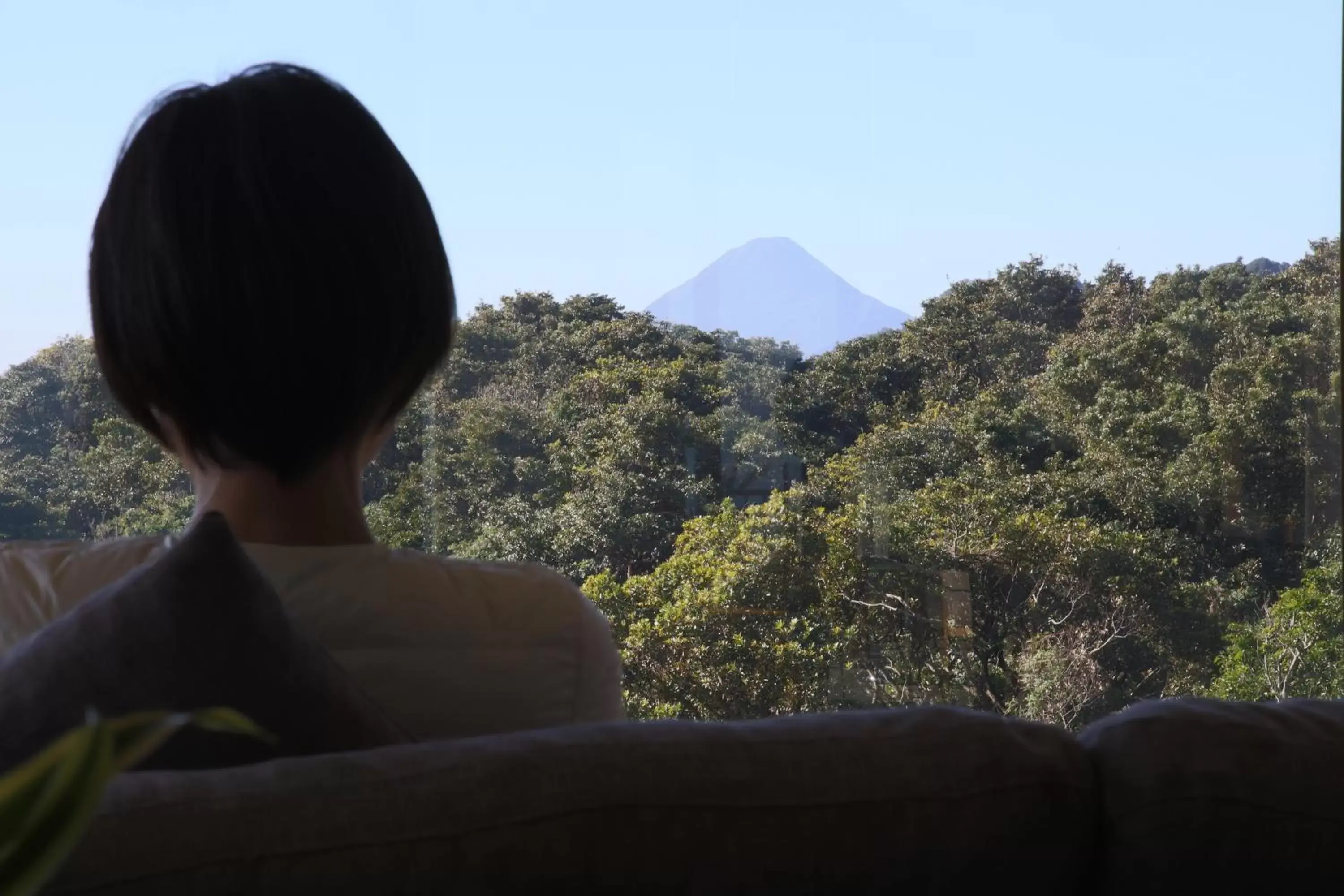 Natural landscape in Ibusuki Royal Hotel