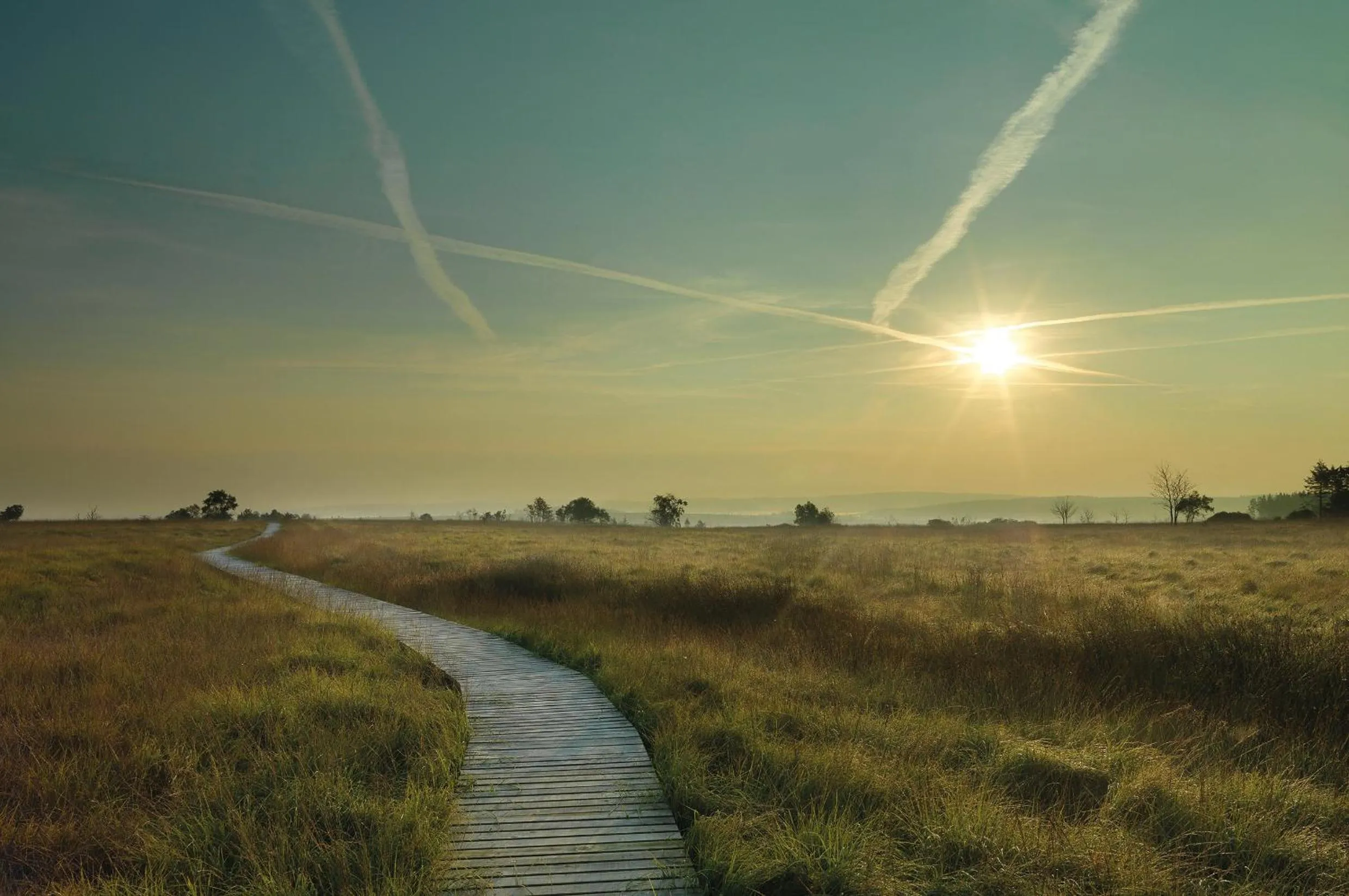 Natural landscape in Hotel Bütgenbacher Hof