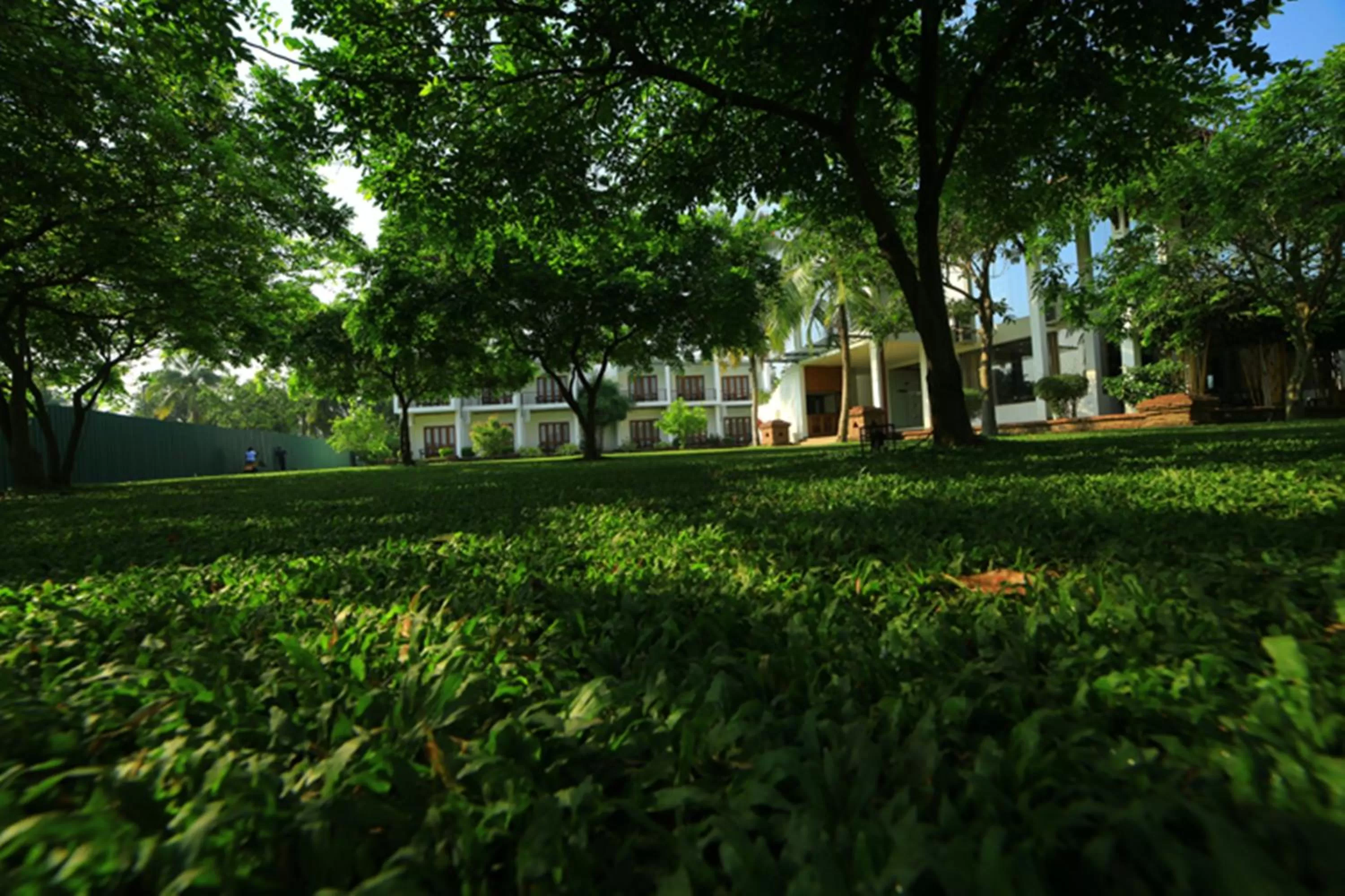 Garden in Ruins Chaaya Hotel