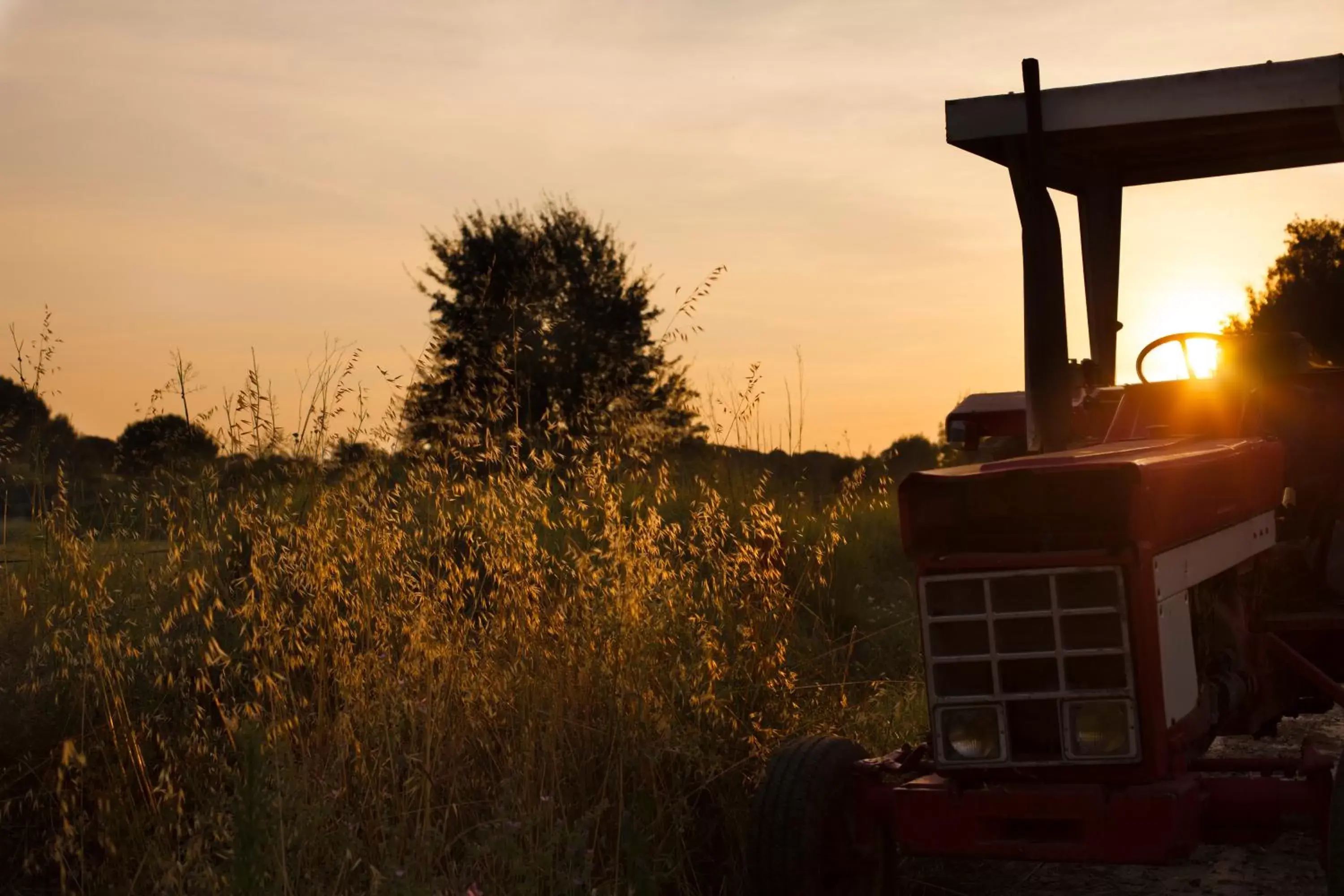 Sunset in Domaine de Biar