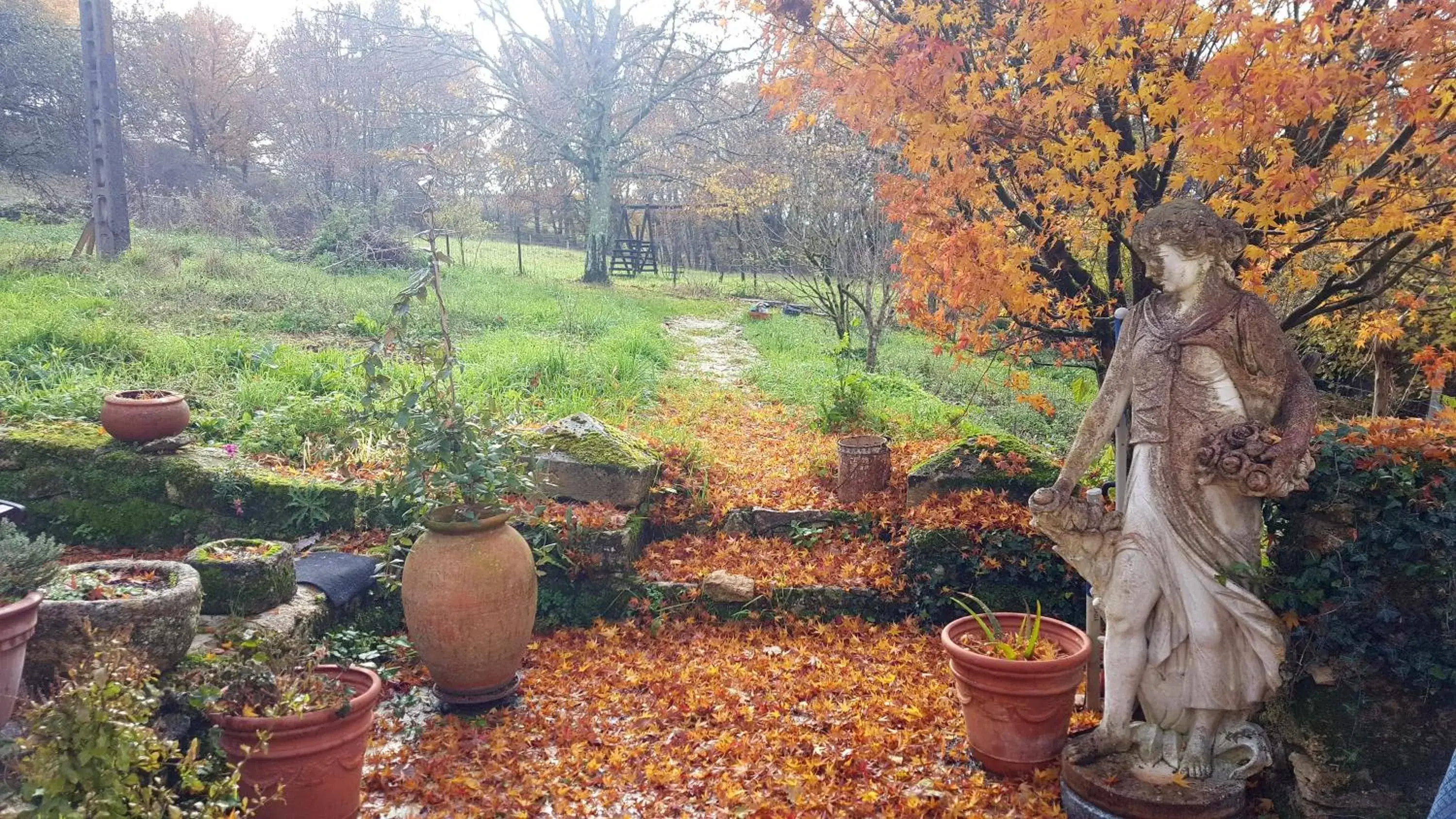 Natural landscape, Garden in Aux Tuileries Nord