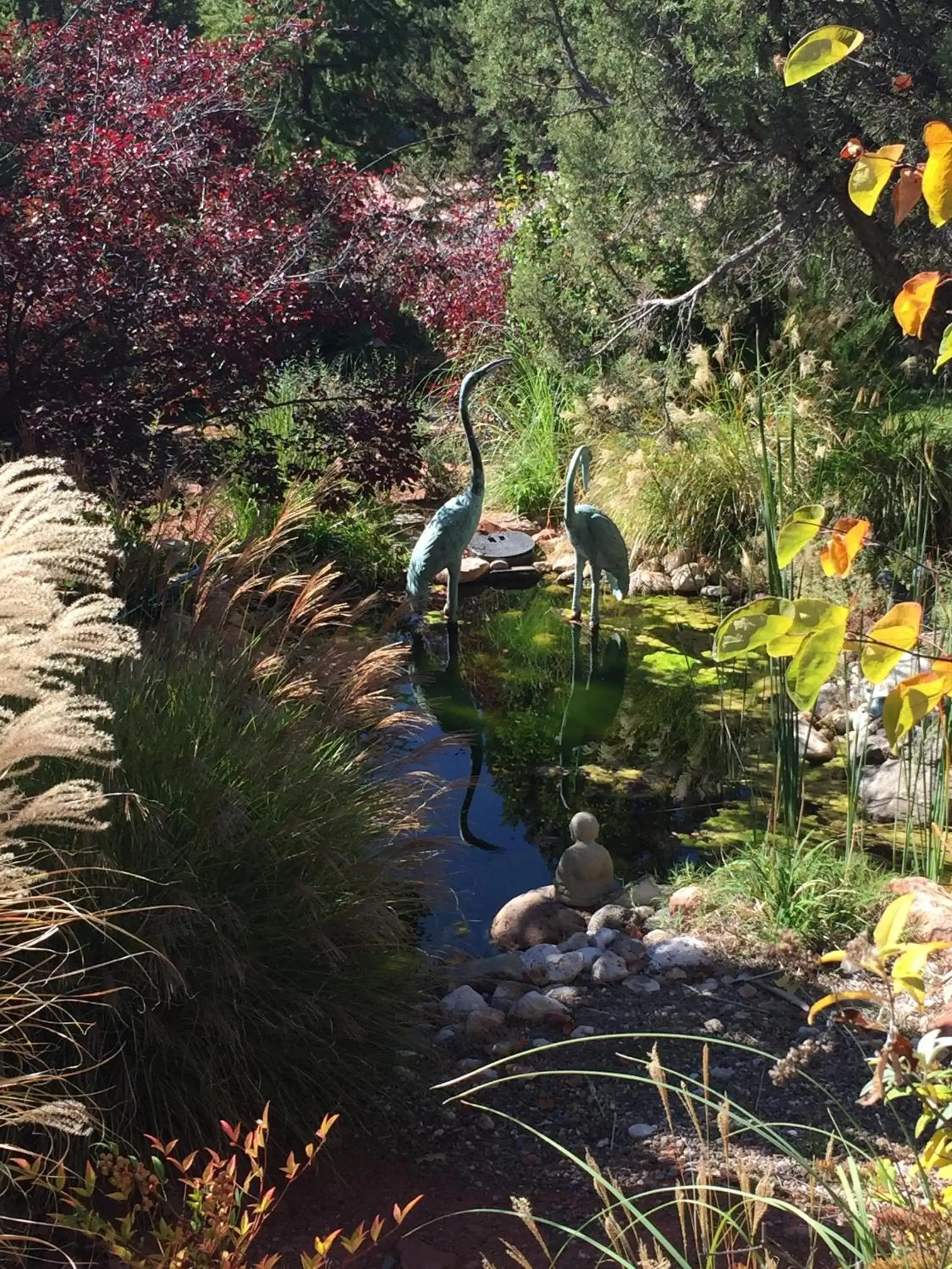 Garden in Alma De Sedona Inn B&B