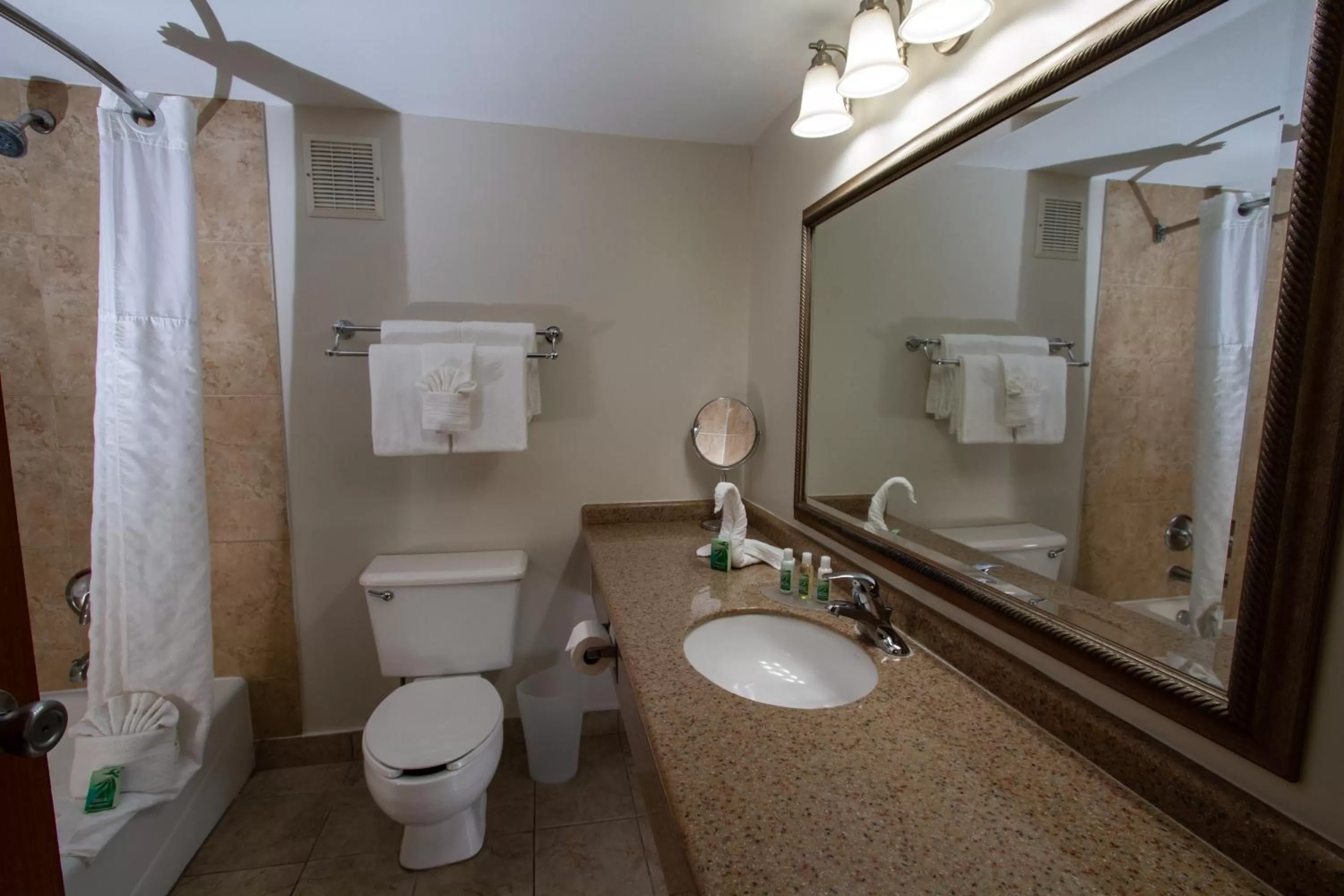 Toilet in Caribe Hotel Ponce