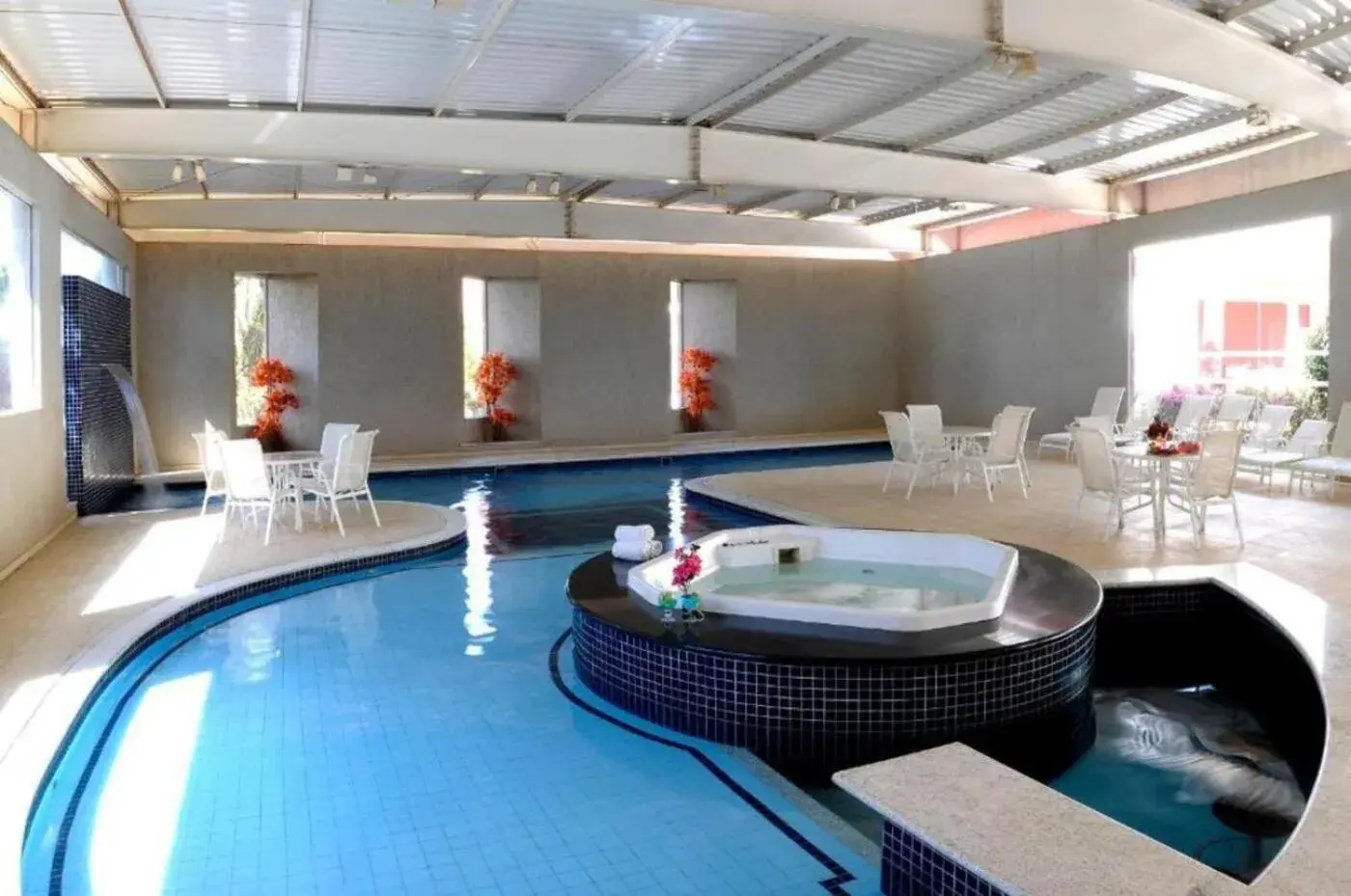 Hot Tub, Swimming Pool in Hotel Premium Campinas