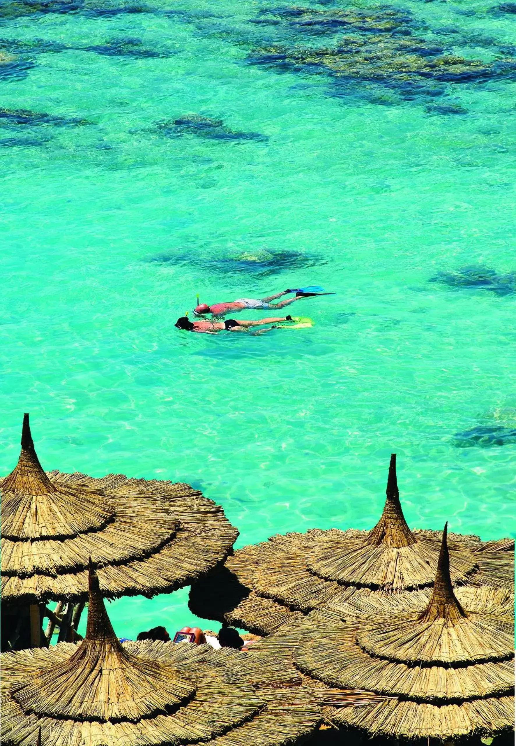 Snorkeling in Reef Oasis Beach Aqua Park Resort