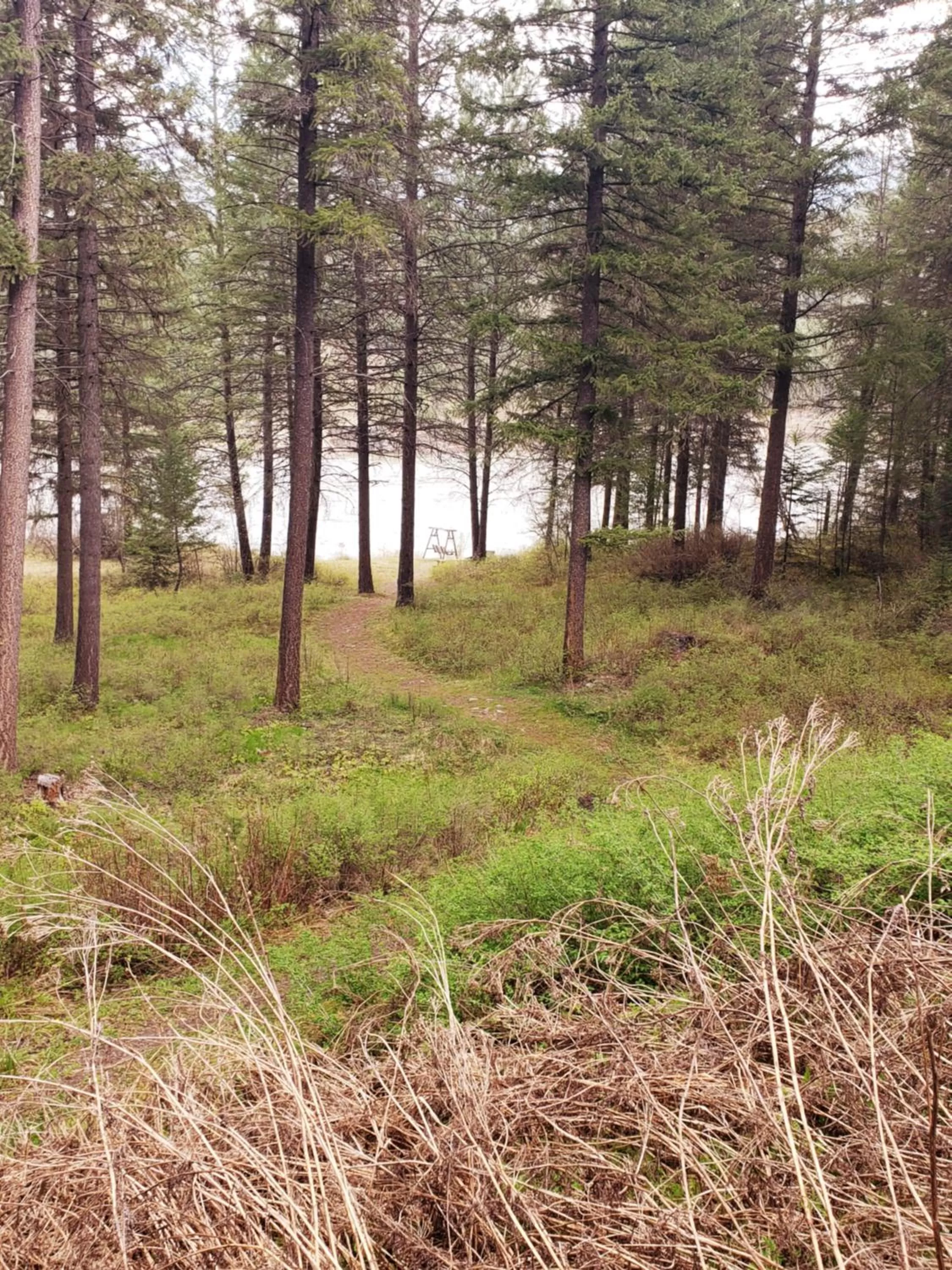 Natural landscape in Riverfront Motel & Cabins