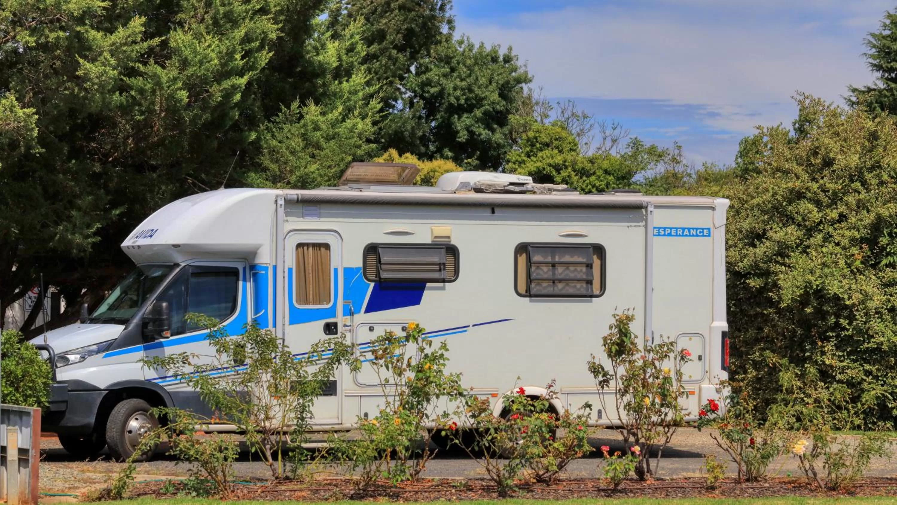 Garden in Southern Comfort Motor Inn