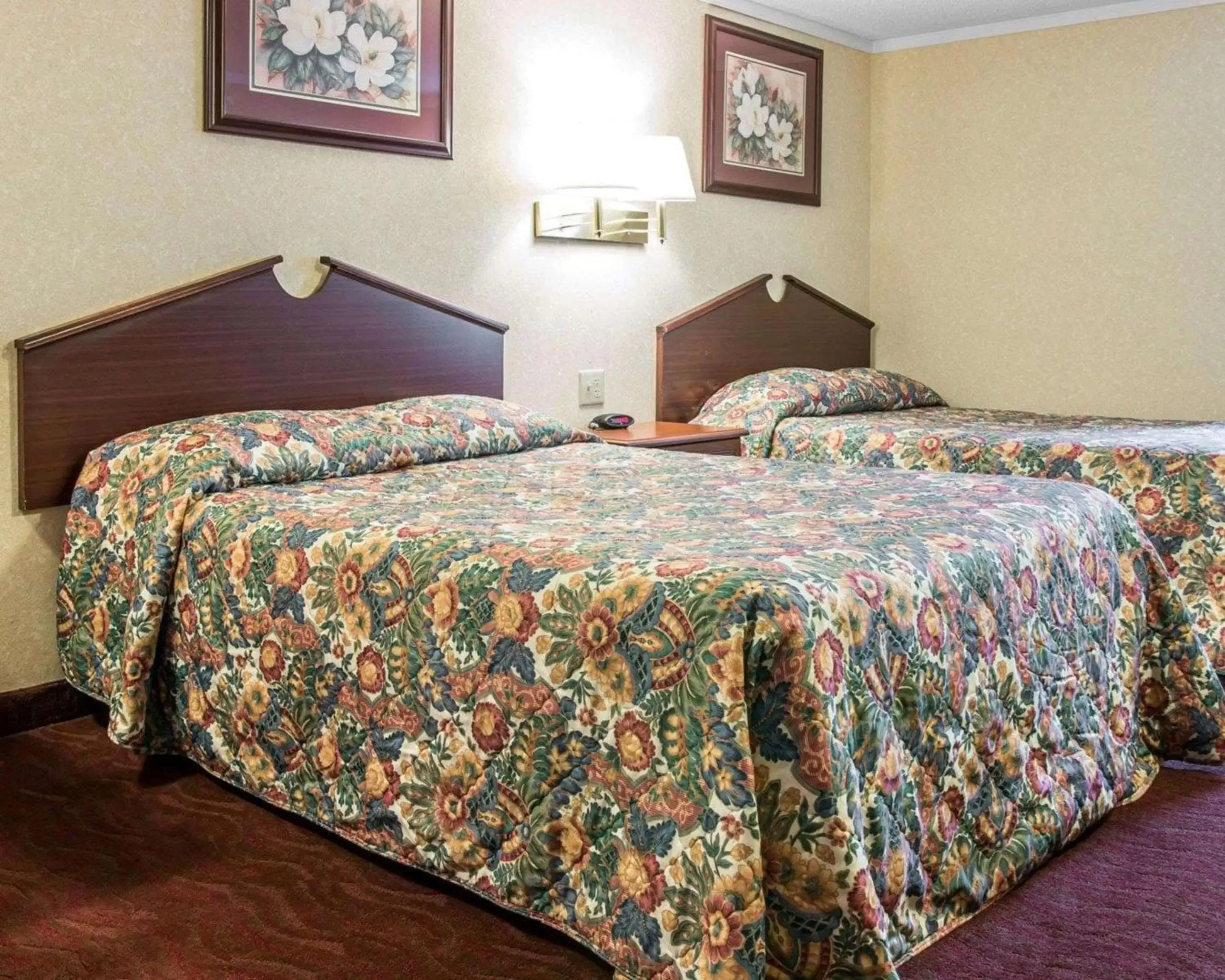 Photo of the whole room, Bed in Rodeway Inn Madison Heights