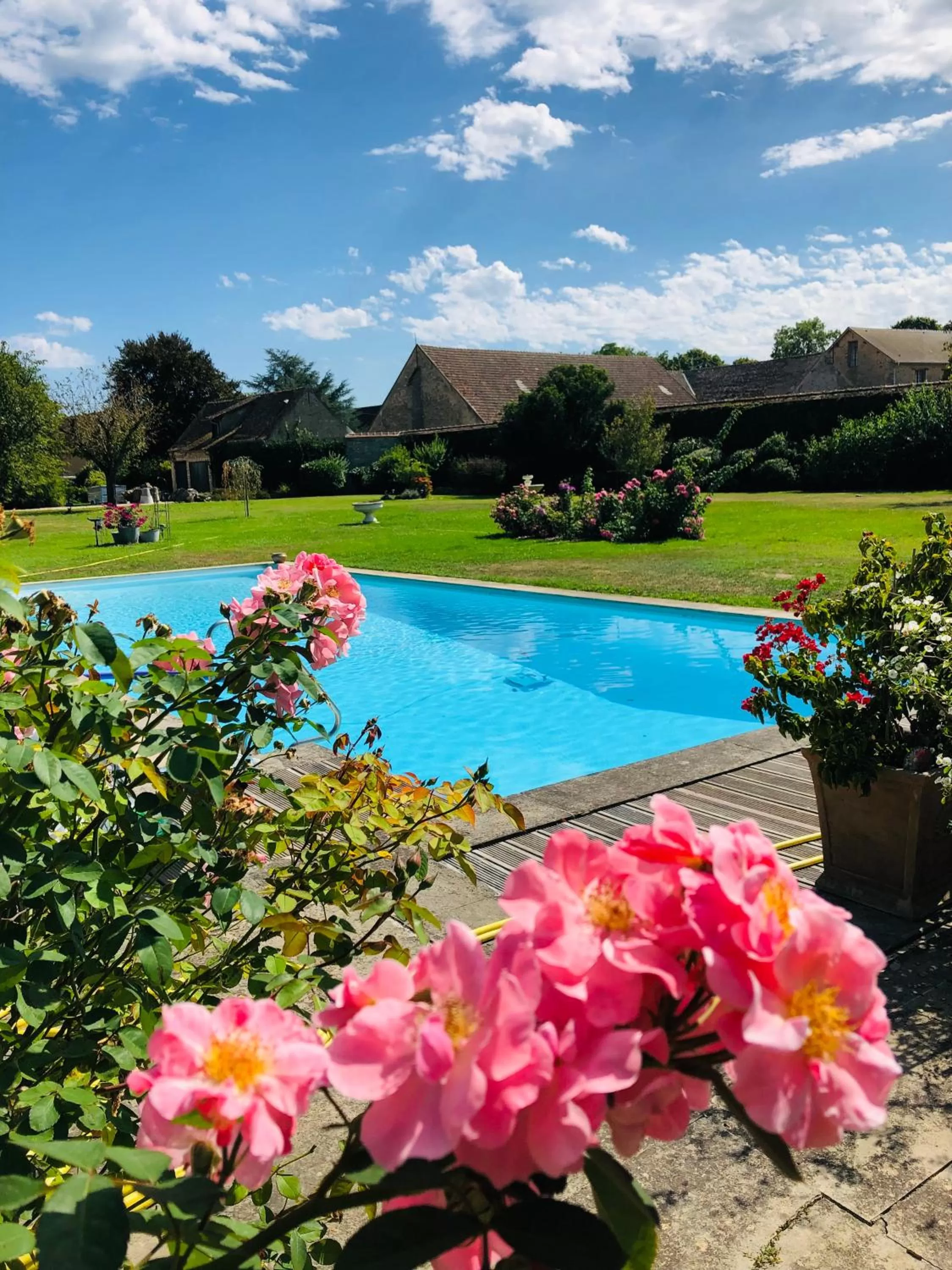 Garden, Swimming Pool in La plaine de l'Angelus