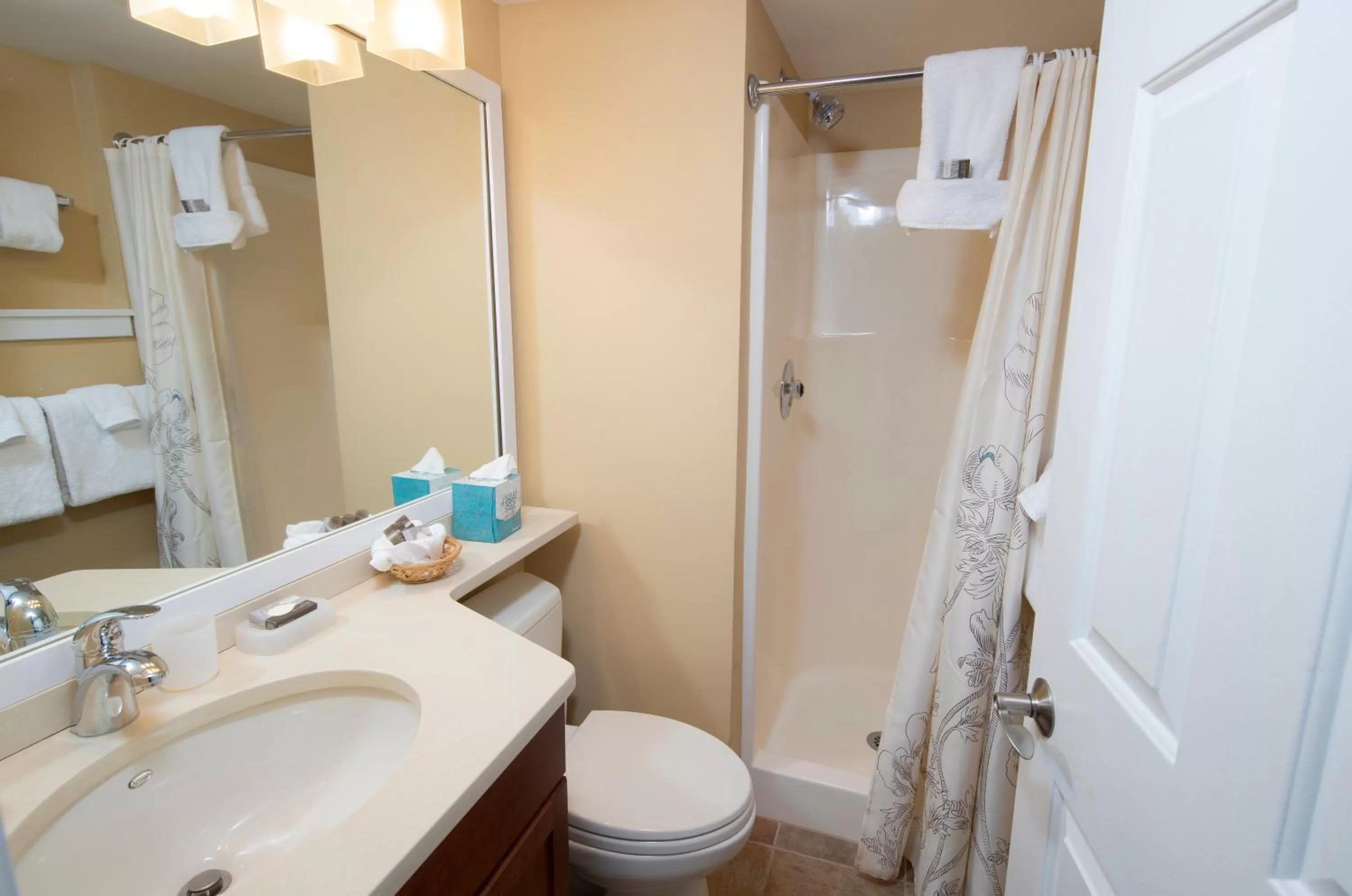 Winterplace on Okemo Mountain