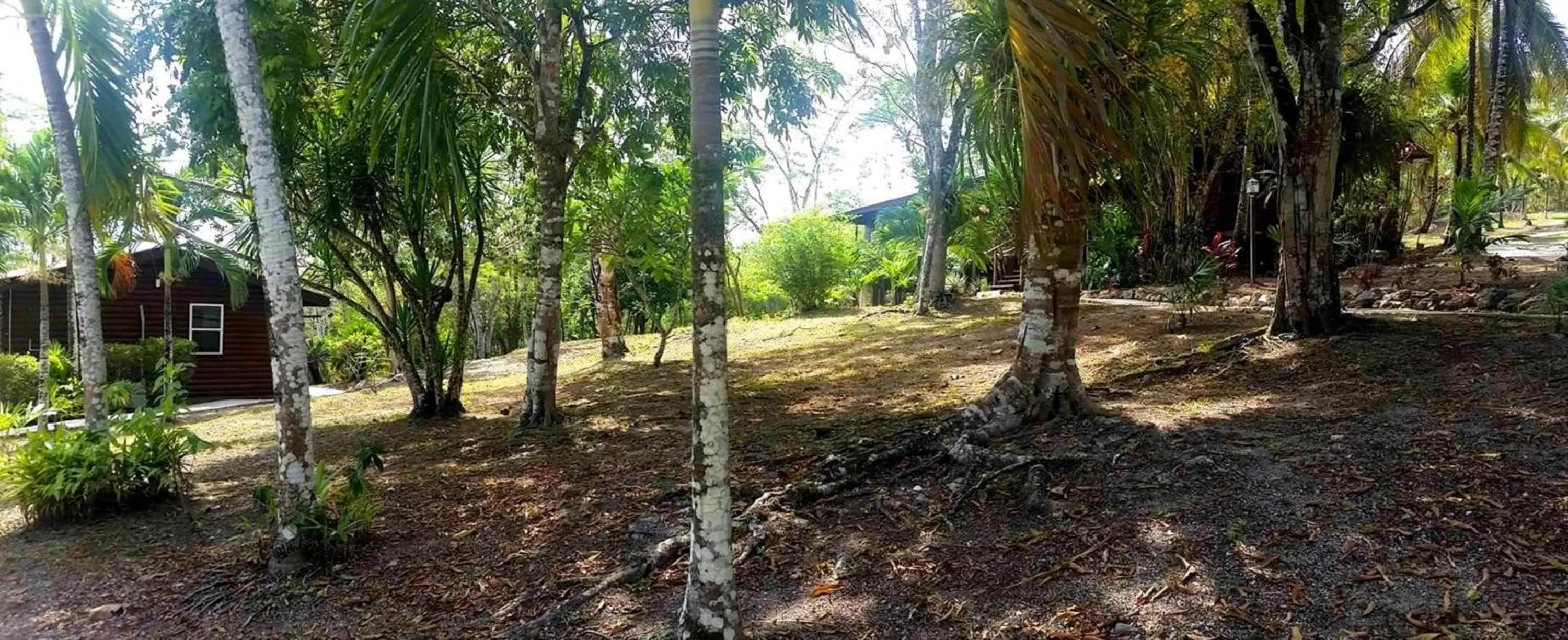On site in The Log Cab-Inn
