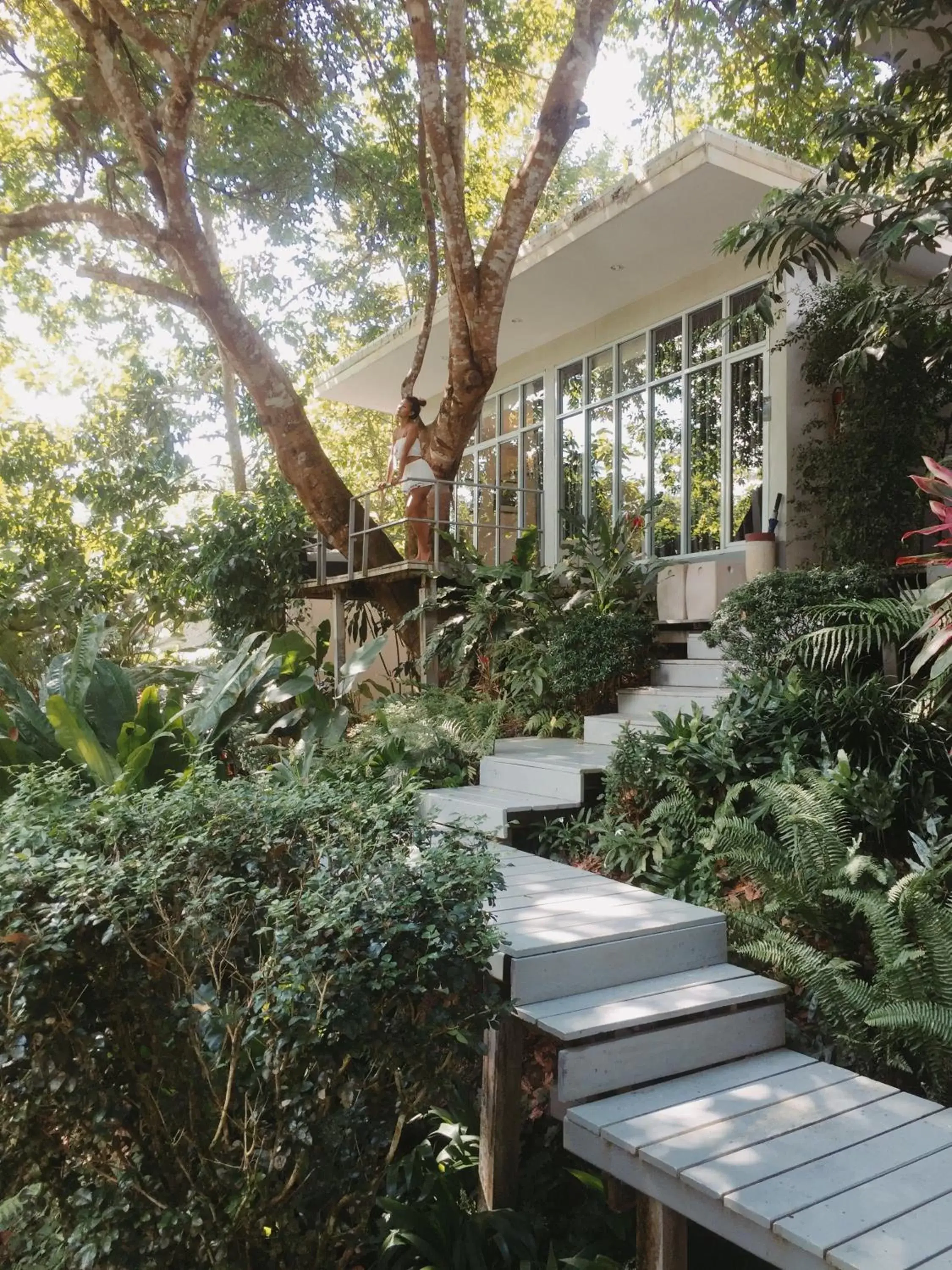 Garden view in The Hidden Resort